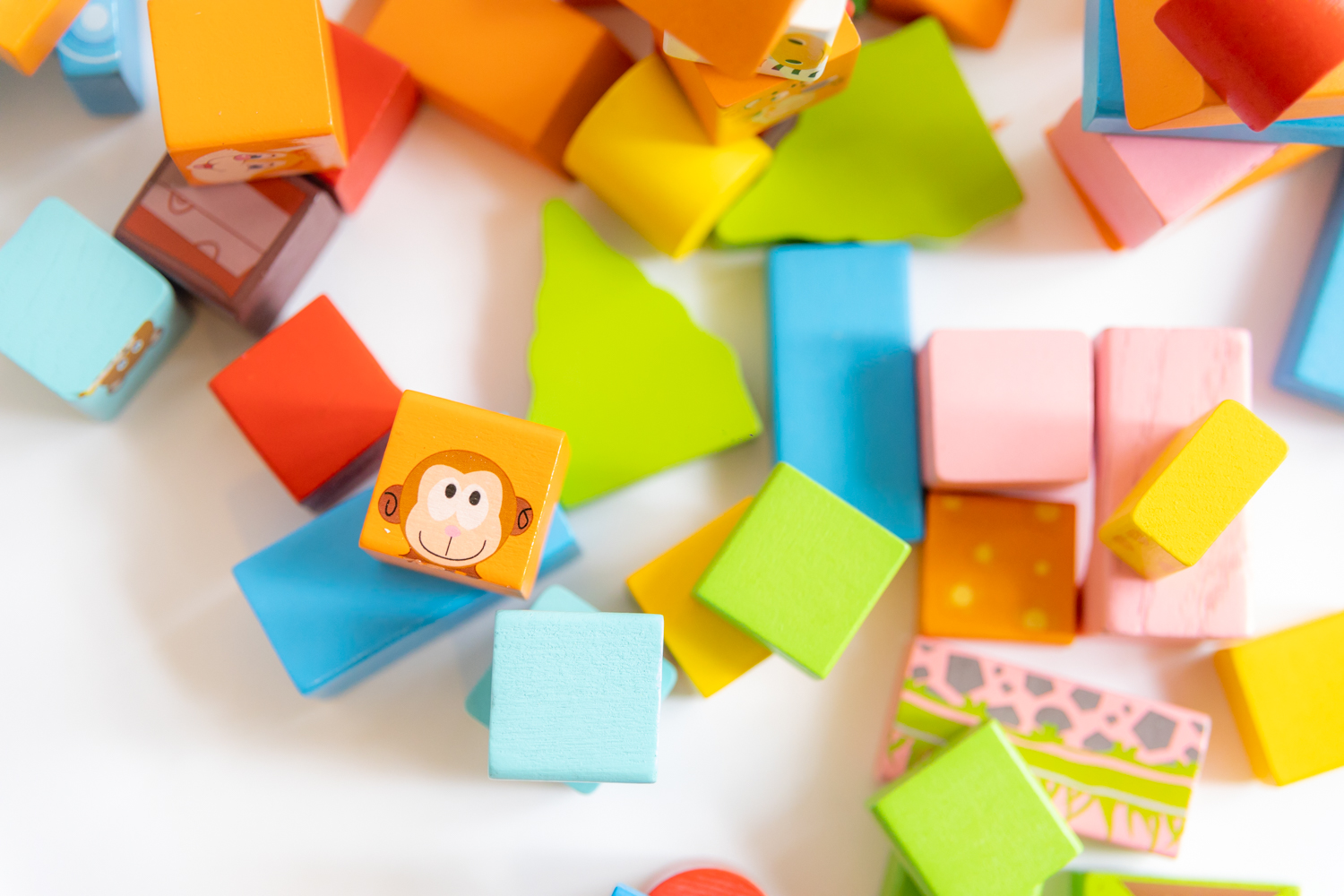 Bloques de madera con figuras de animales salvajes