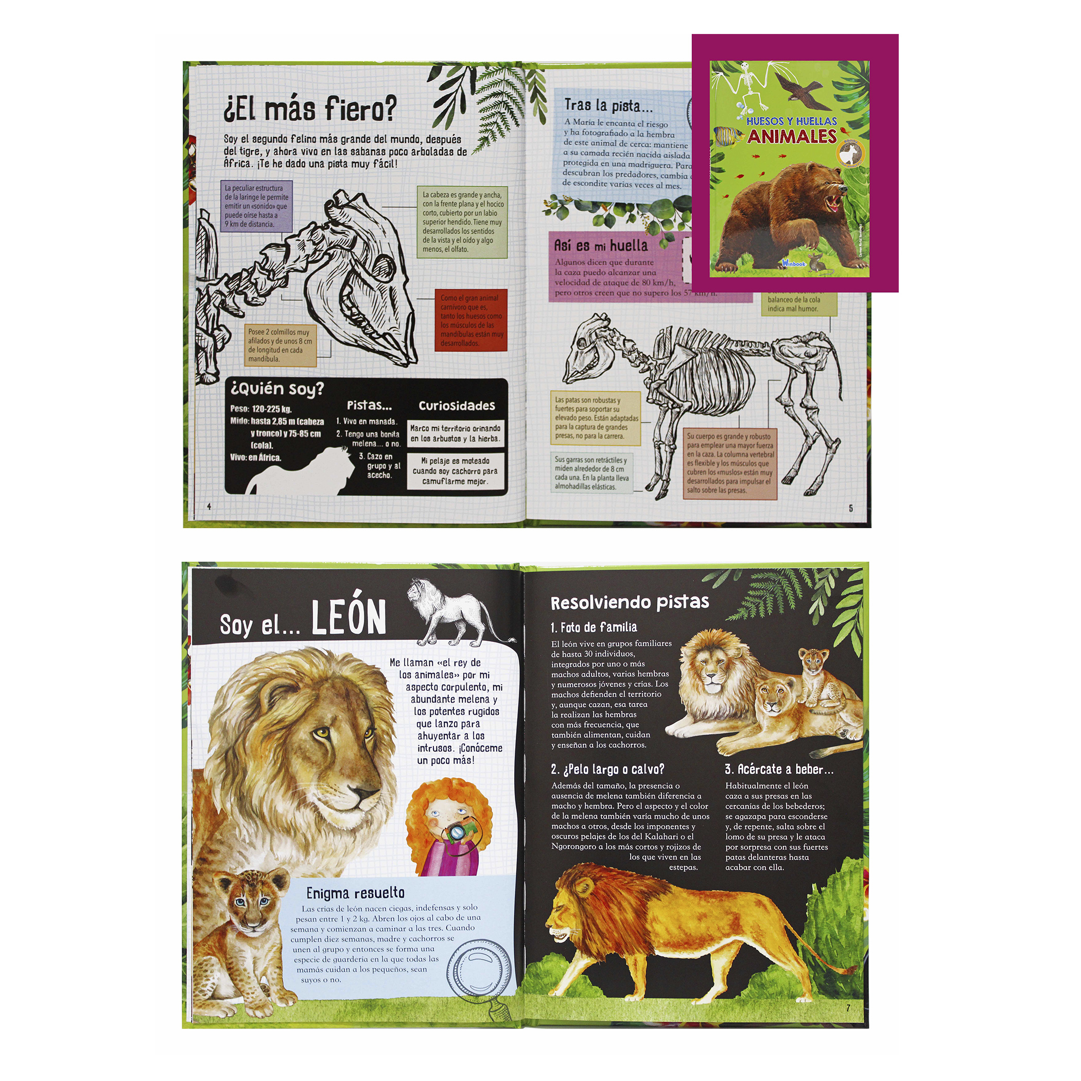 2 Libros, Dinosaurios y Animales Salvajes, Ilustrados, Pasta Dura