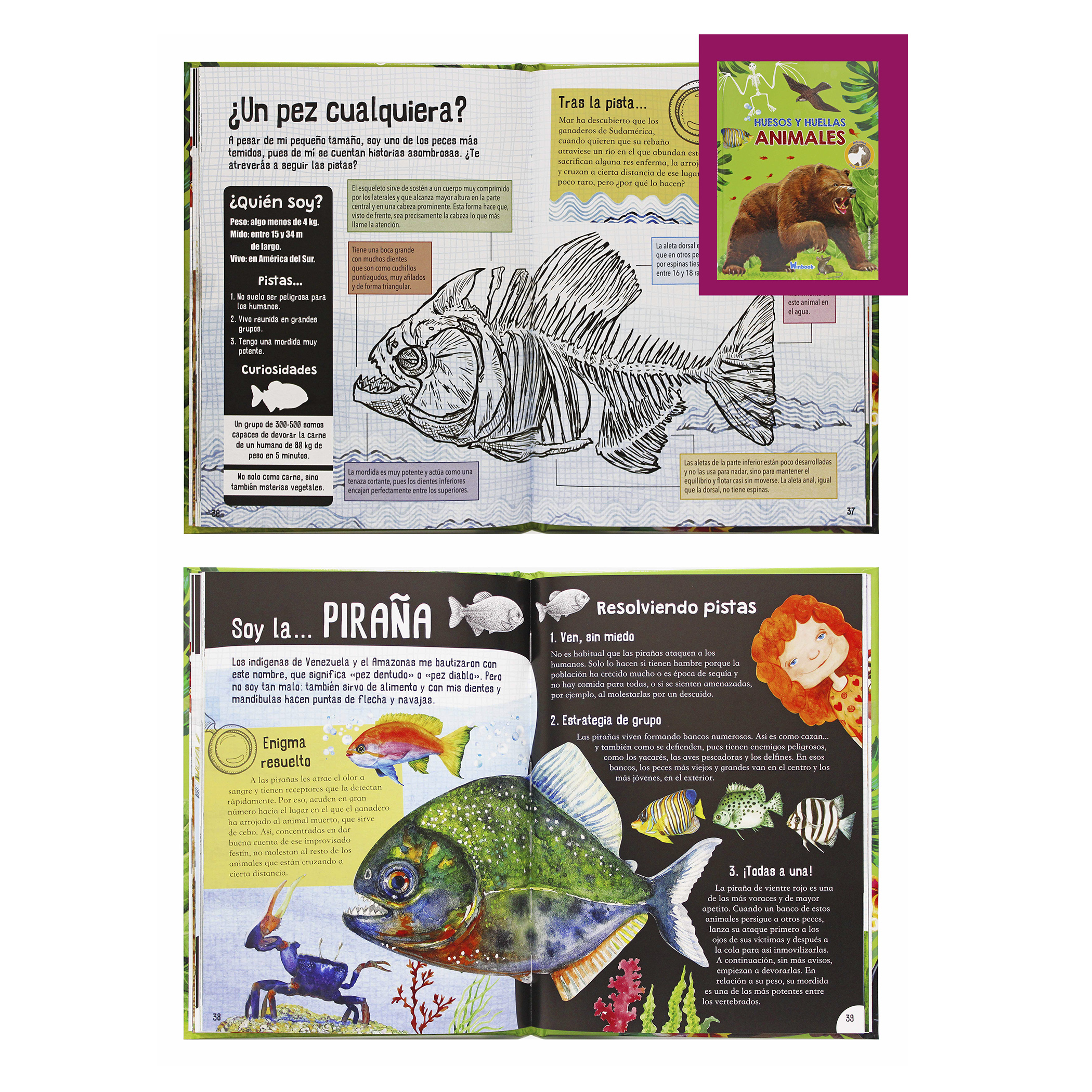 2 Libros, Dinosaurios y Animales Salvajes, Ilustrados, Pasta Dura