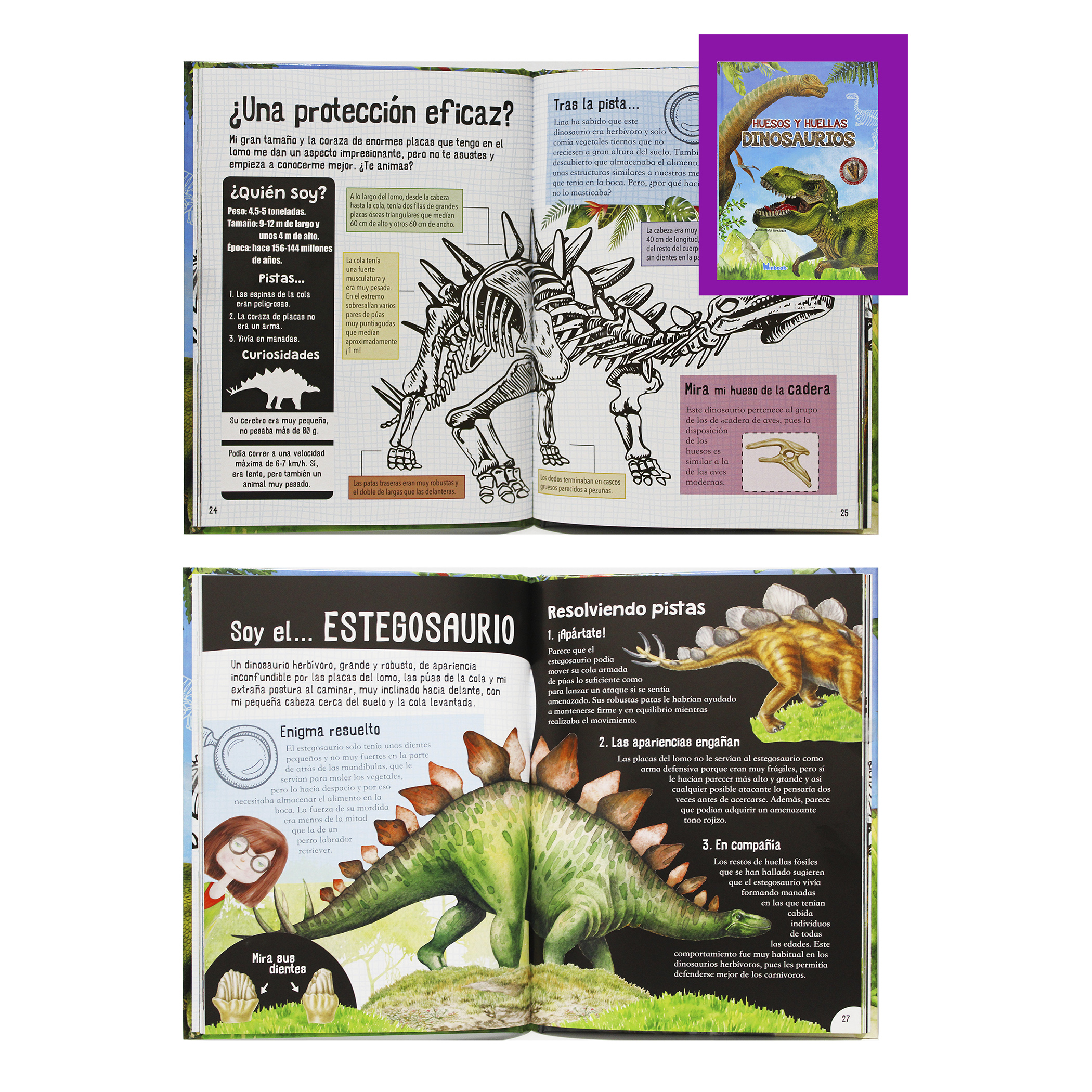 2 Libros, Dinosaurios y Animales Salvajes, Ilustrados, Pasta Dura