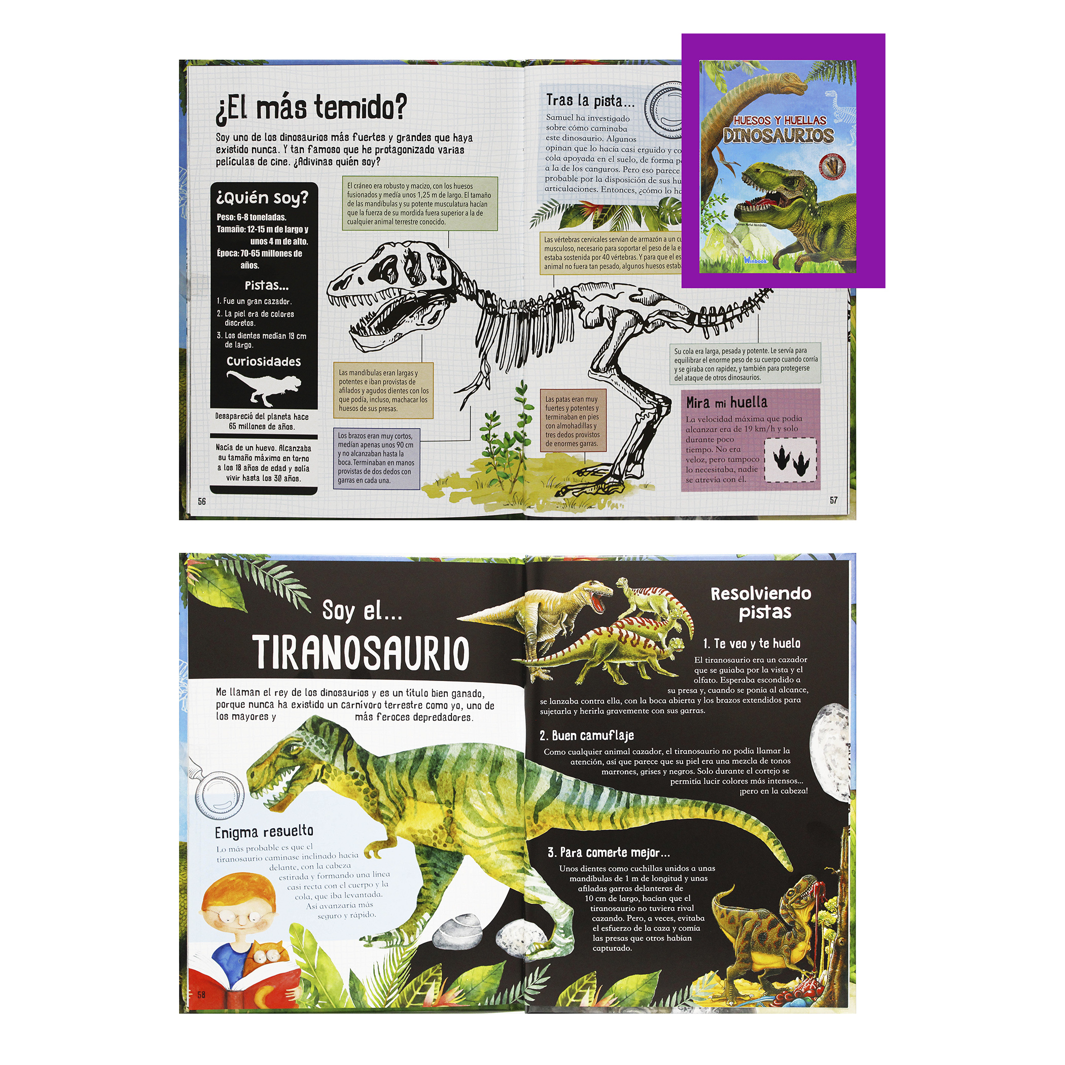 2 Libros, Dinosaurios y Animales Salvajes, Ilustrados, Pasta Dura