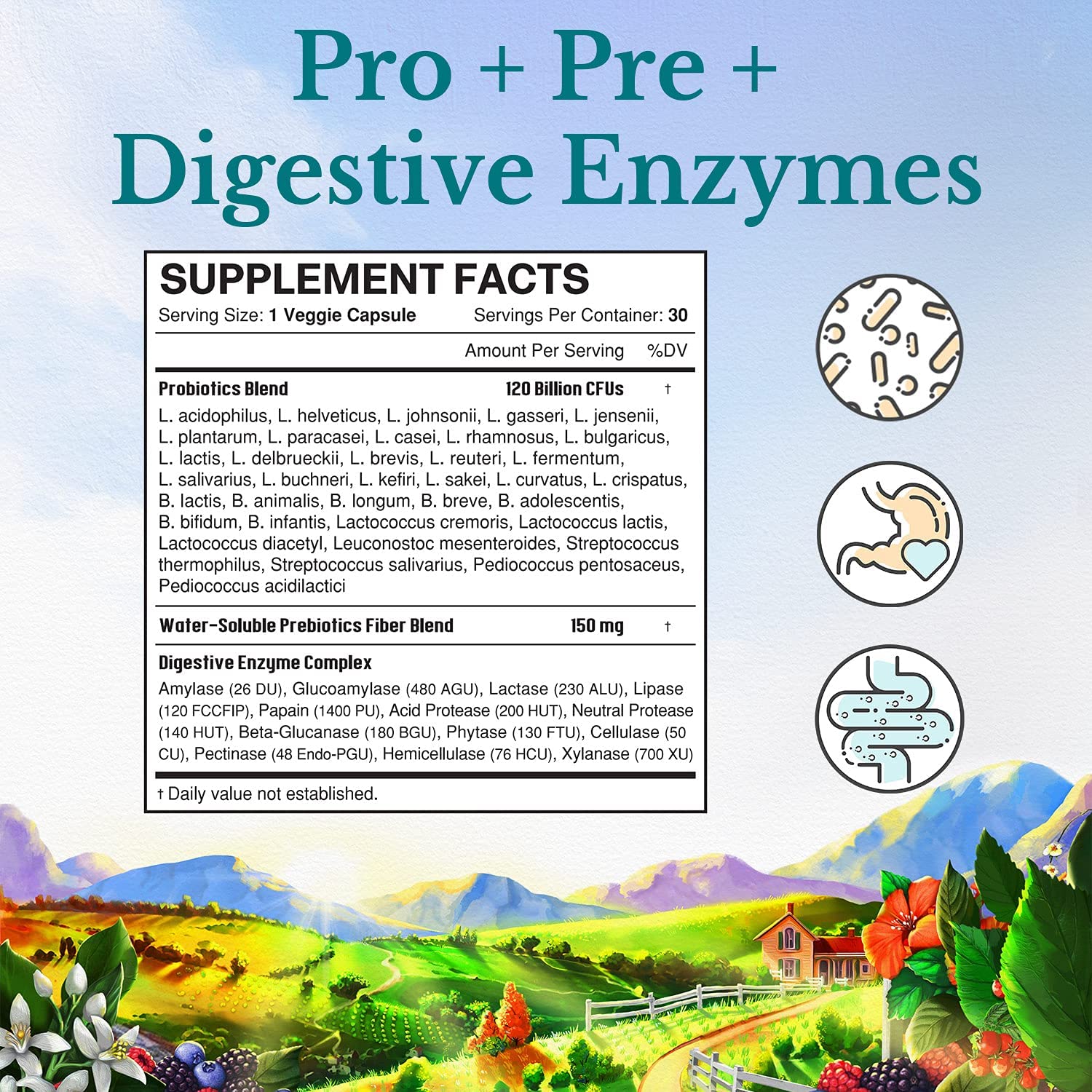 Probióticos 120 Billones Vitalitown Con Prebióticos y Enzimas Digestivas Apoyo Digestivo e Inmunológico 30 Cápsulas 