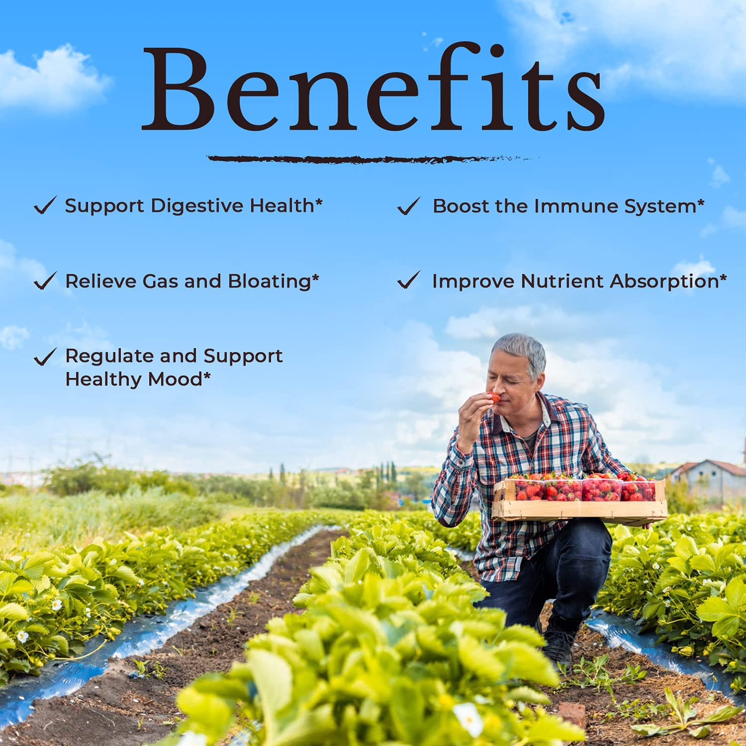 Probióticos 120 Billones Vitalitown Con Prebióticos y Enzimas Digestivas Apoyo Digestivo e Inmunológico 30 Cápsulas 