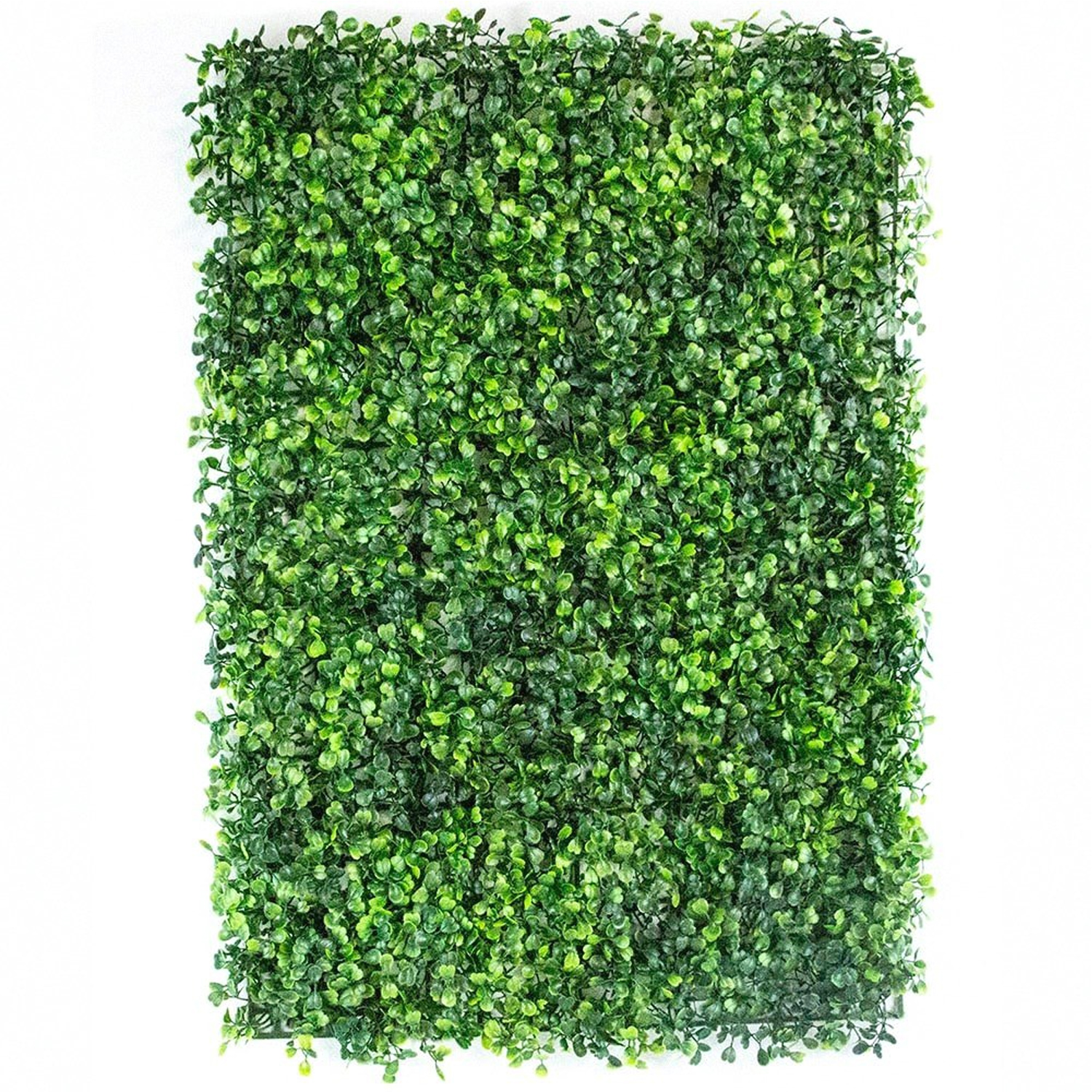 Follaje Artificial Kit 10 Piezas Muro Verdel Pasto Pared Jardin Venrtical Jardimex