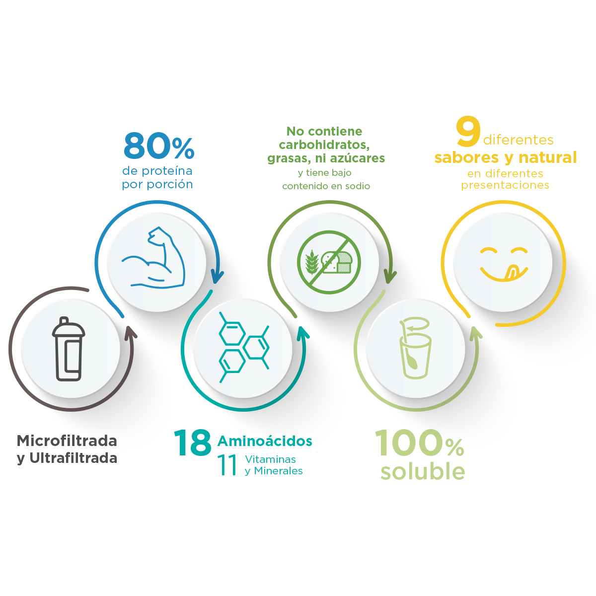 EVOLUTION. Proteína de Suero de Leche, WP100, Whey Protein, 800 Gramos (Sabor Chocolate)