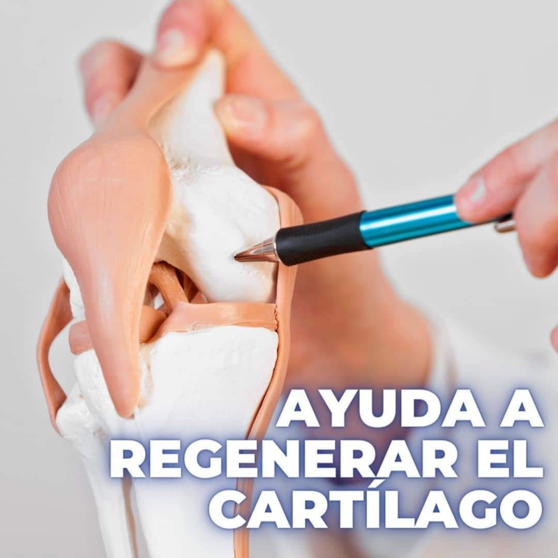 Art-Flx articulaciones, con Cúrcuma, Ajo,Jengibre,Calcio, Frasco de 60 capsulas