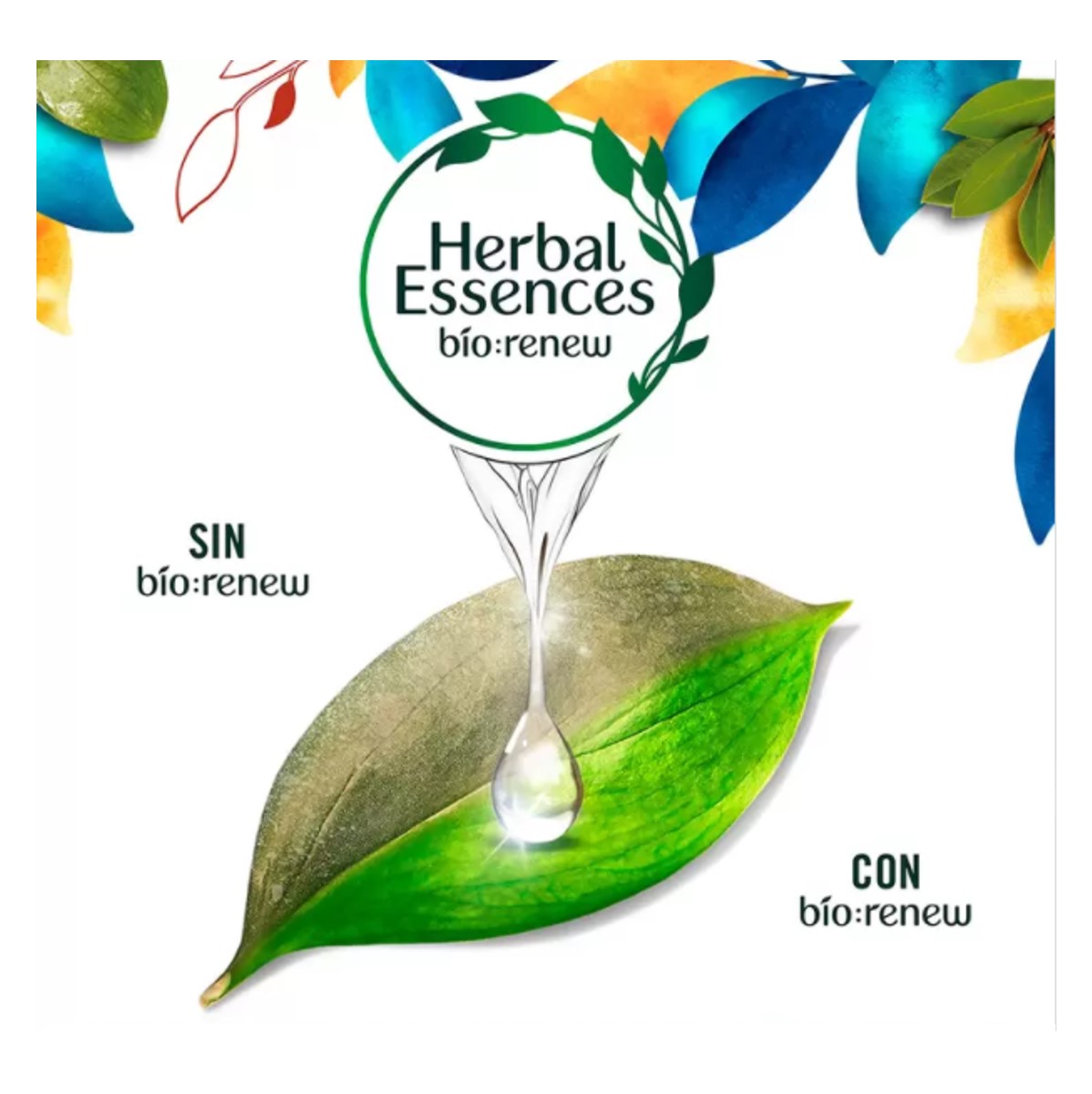 Shampoo Herbal Essences Con Aceite Argan De Morocco 865 Ml