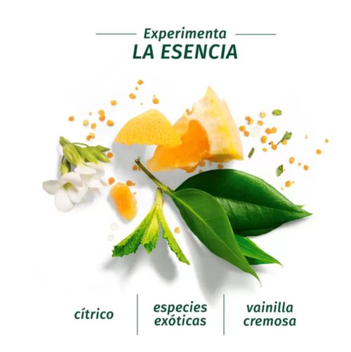 Herbal Essences Shampoo de Aceite de Argán y Aloe / 865 ml – Cropa Fresh