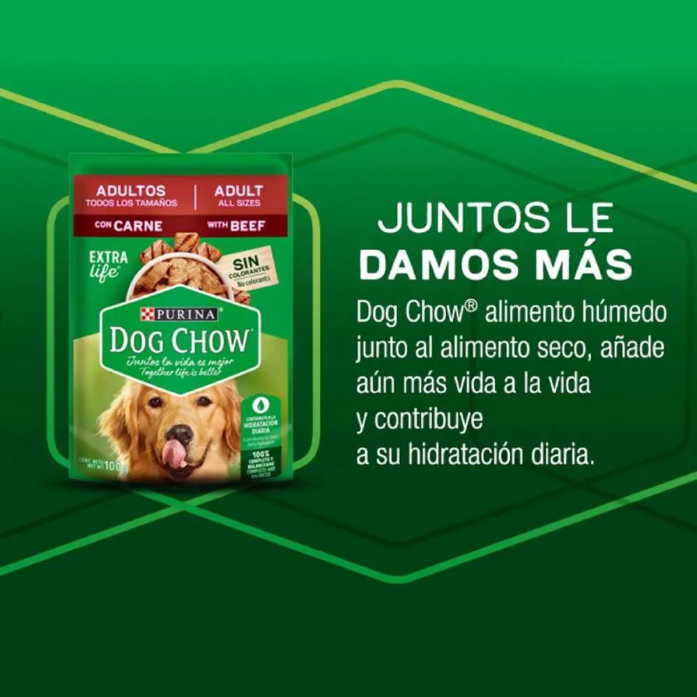 Alimento para Perro Purina Dog Chow Adultos 20 pzas de 100 g