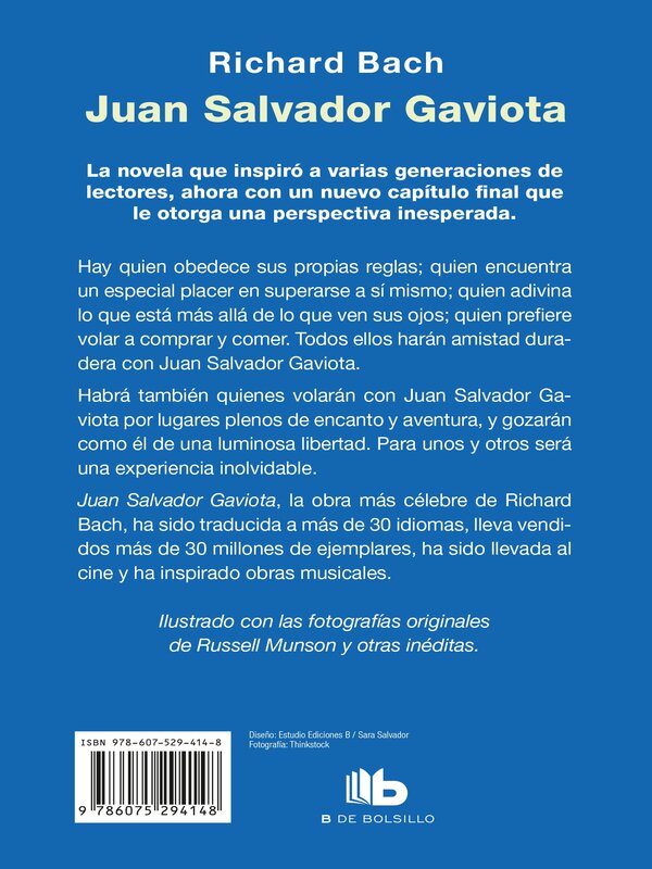 Juan Salvador Gaviota