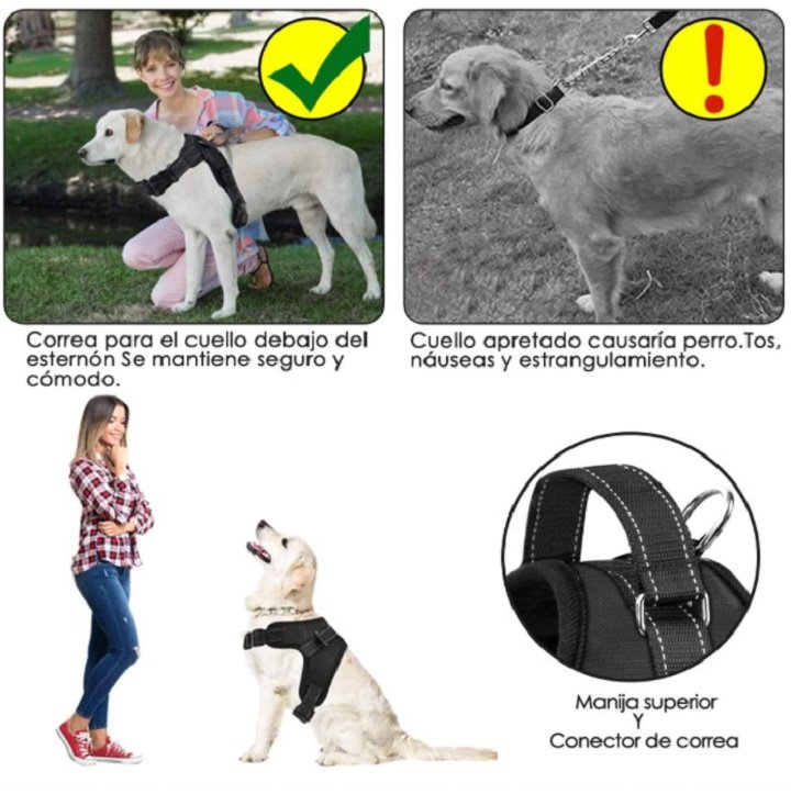 Correa multifuncional de cuero para perro «Fuerte y robusto»