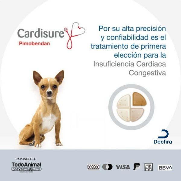 Cardisure 2.5mg 100 Tabs Divisible C/sabor Pimobendan Perro