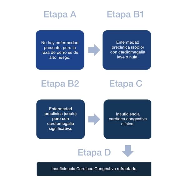 Cardisure 1.25mg 100 Tabs Divisible C/sabor Pimobendan Perro