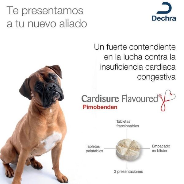 Cardisure 5mg 100 Tabs Divisible C/sabor Pimobendan Perro