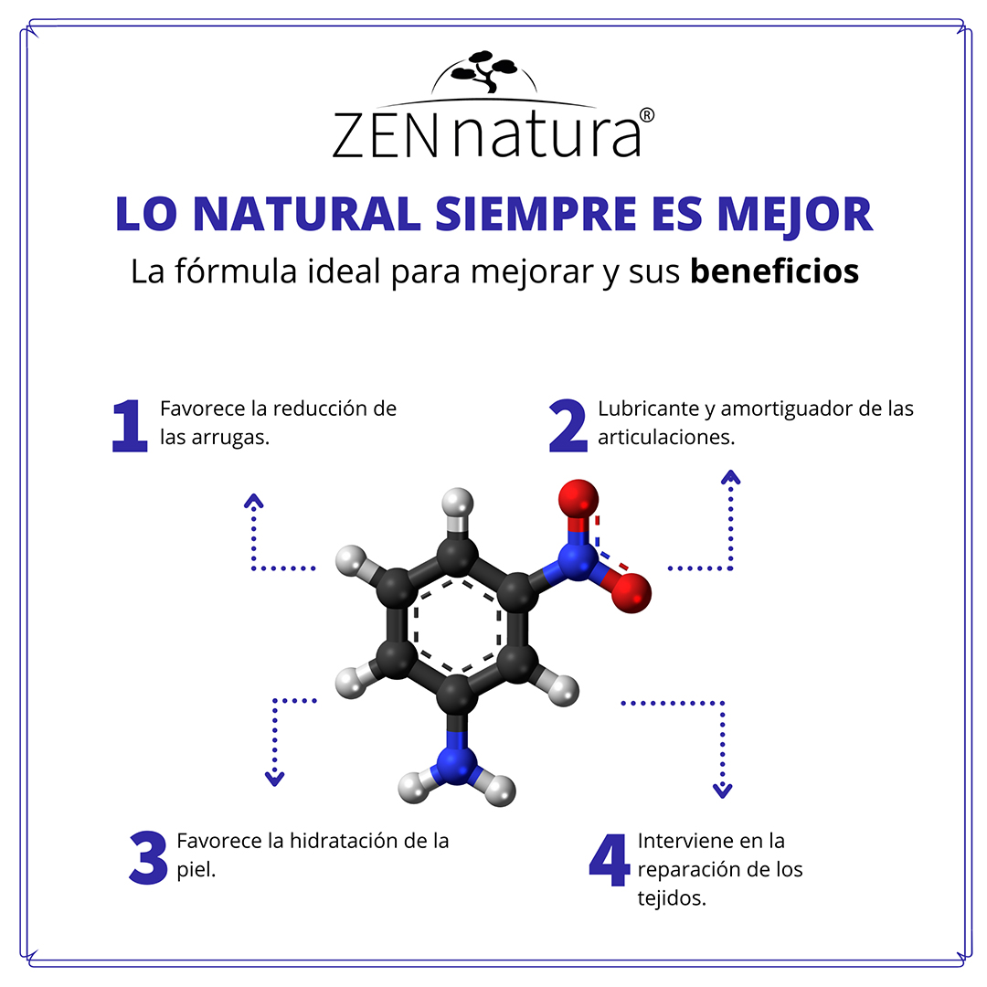 ACIDO HIALURONICO 1.1 KGS ZEN NATURA