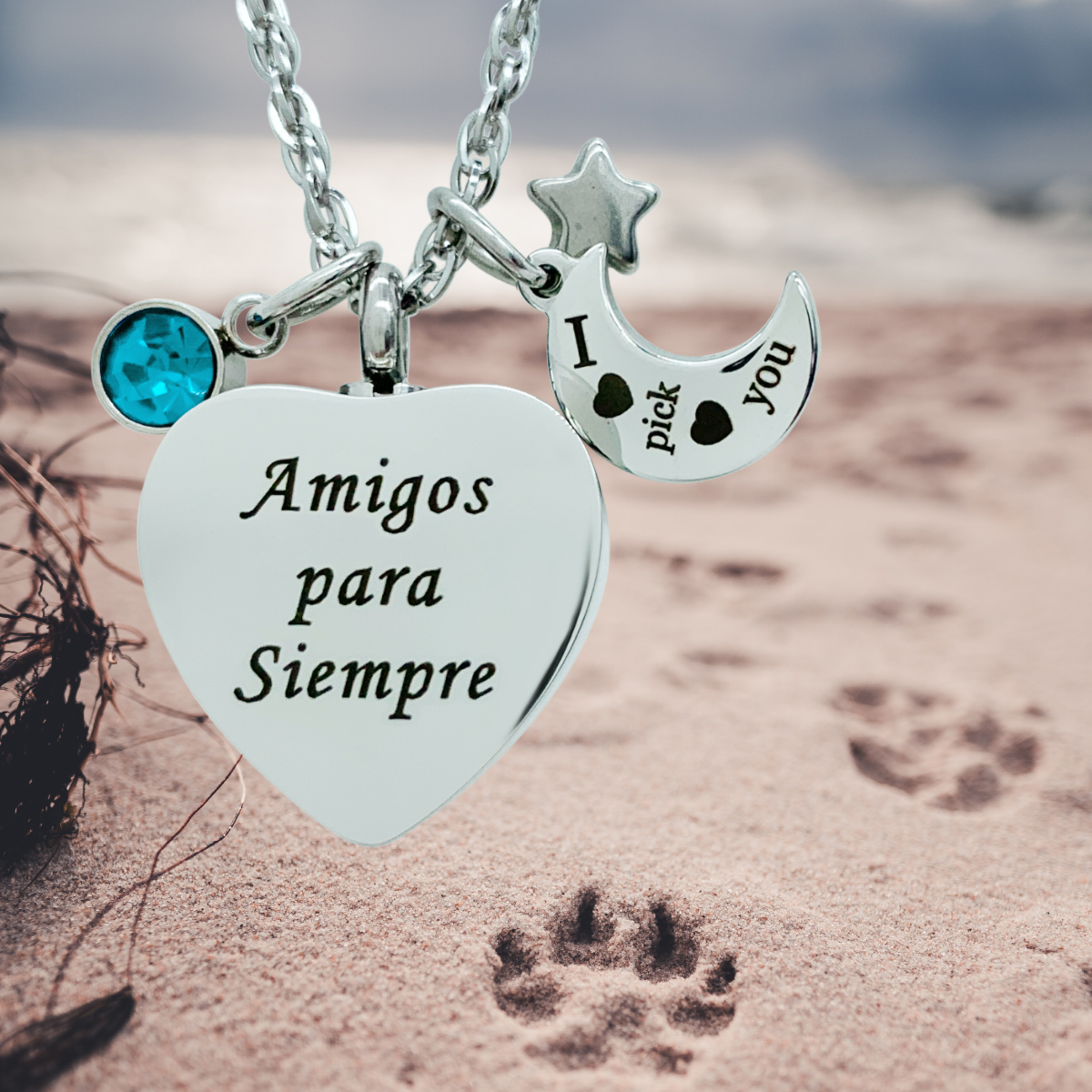 Dije Para Cenizas Cremación Urna Funeraria Relicario 13 - Acero inoxidable- Joyeria,Relicario,Diseño Elegante -Pet Friendly