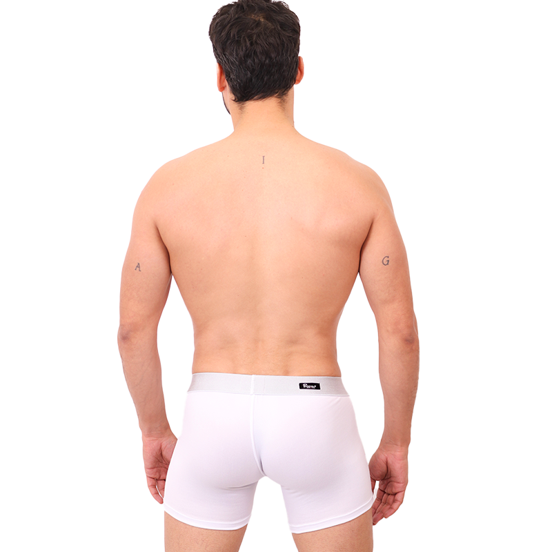 BASIC BOXER/L BRIEF -01