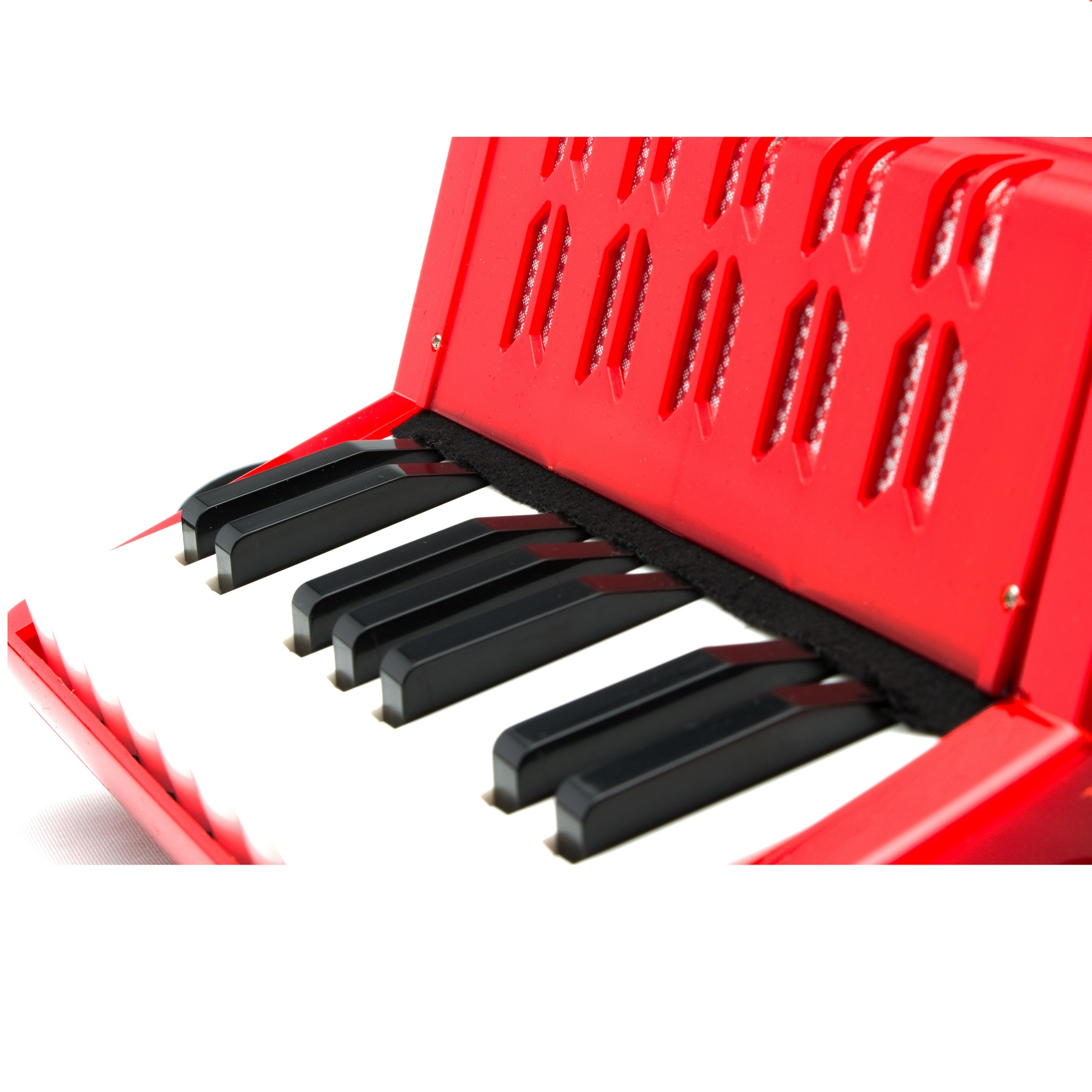 Acordeon  17 Teclas Y 8 Bajos Para Todo Usuario