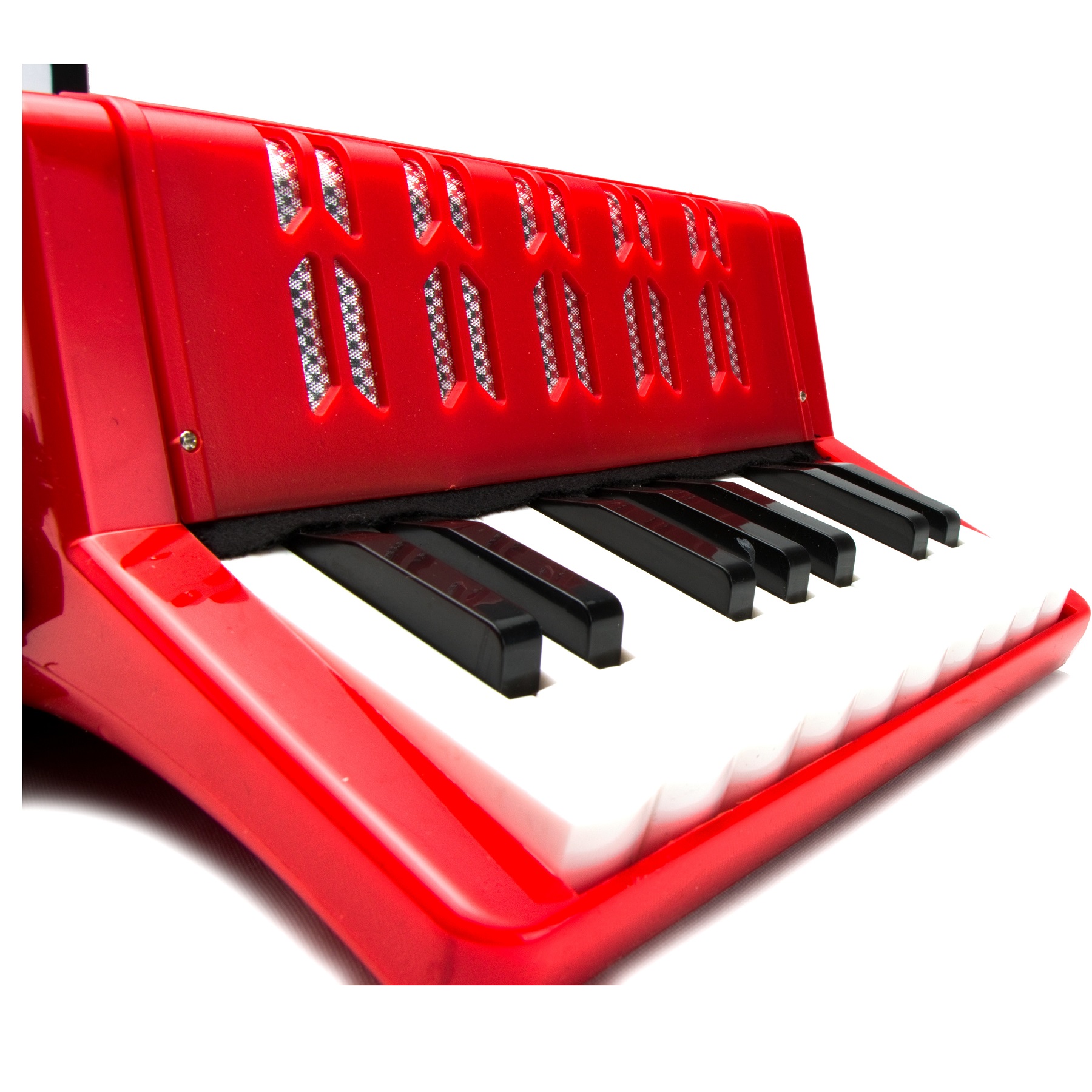 Acordeon  17 Teclas Y 8 Bajos Para Todo Usuario
