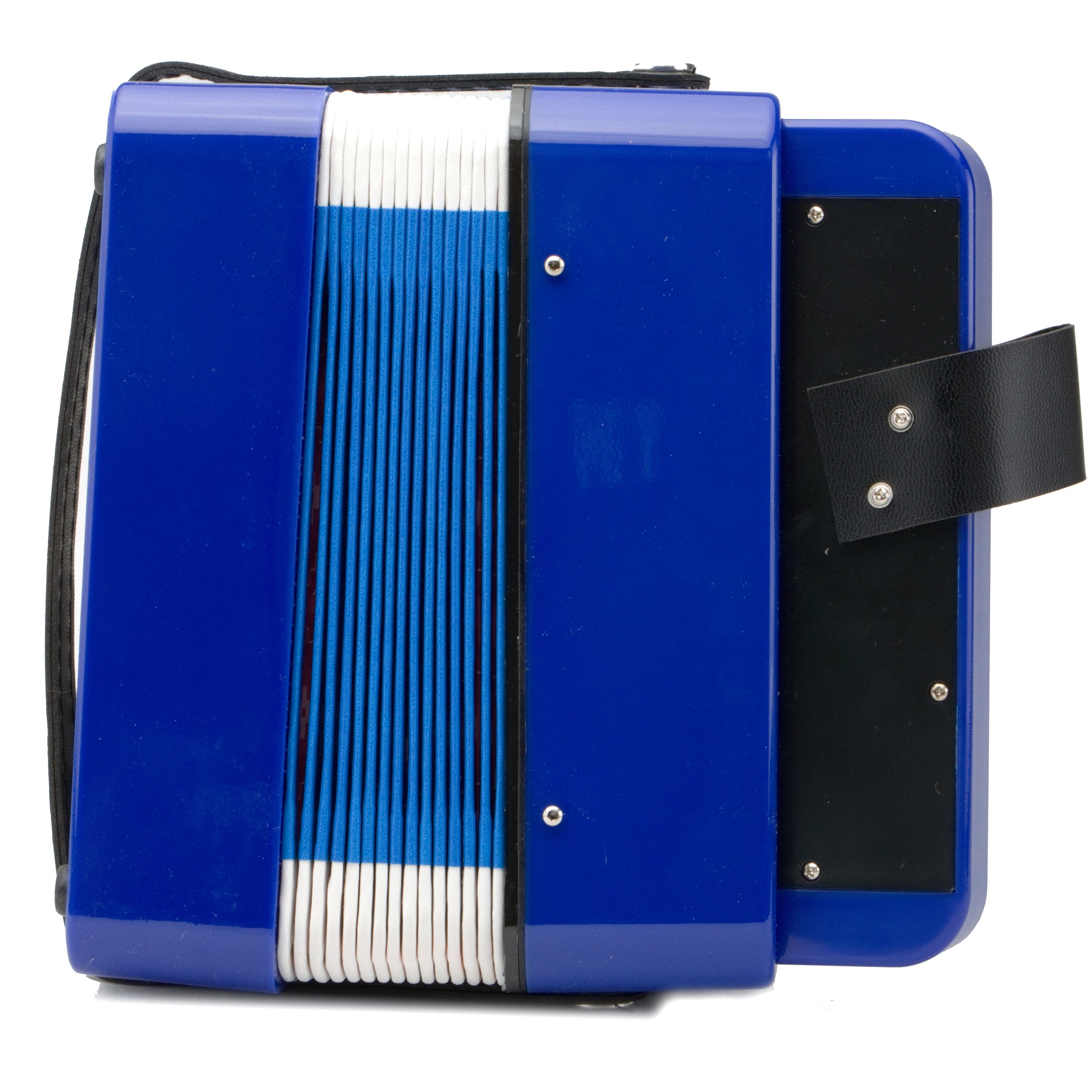 Acordeon Profesional Para Niños De 9 Botones Graves Agudos