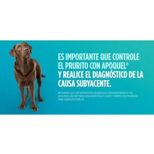 Apoquel Zoetis tabletas Vs Dermatitis Atópica Y Alérgica 20 TABLETAS 16MG 
