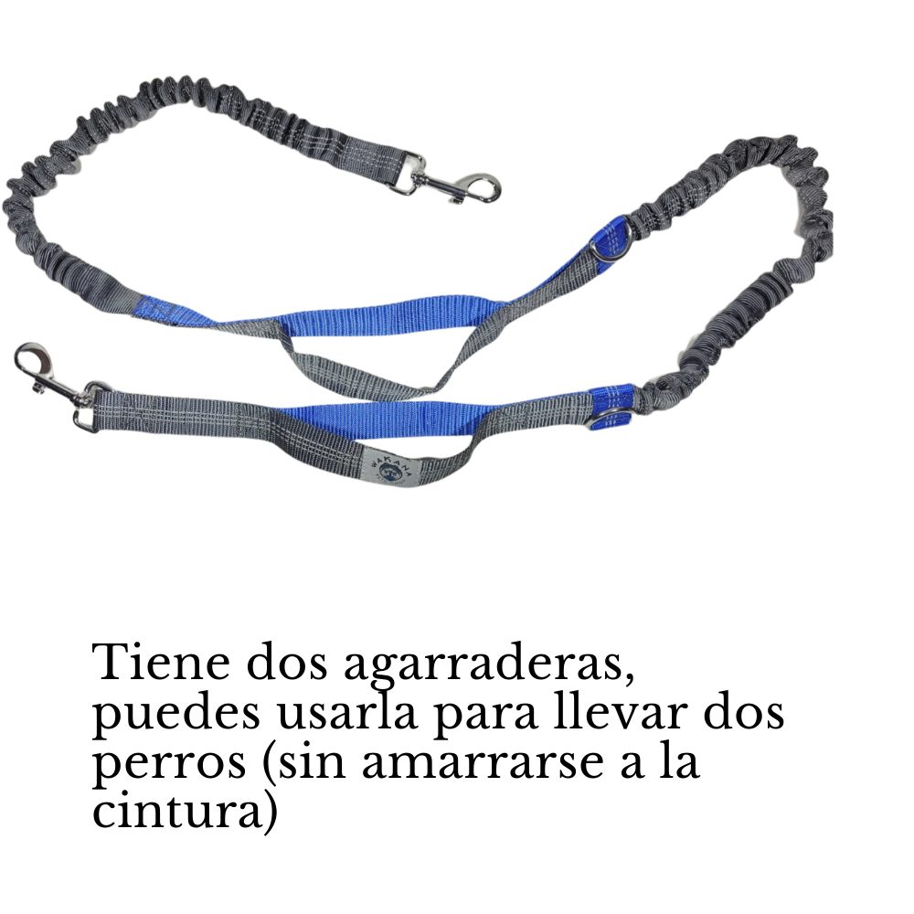 Correa de Perro elástica Manos Libres de Cintura