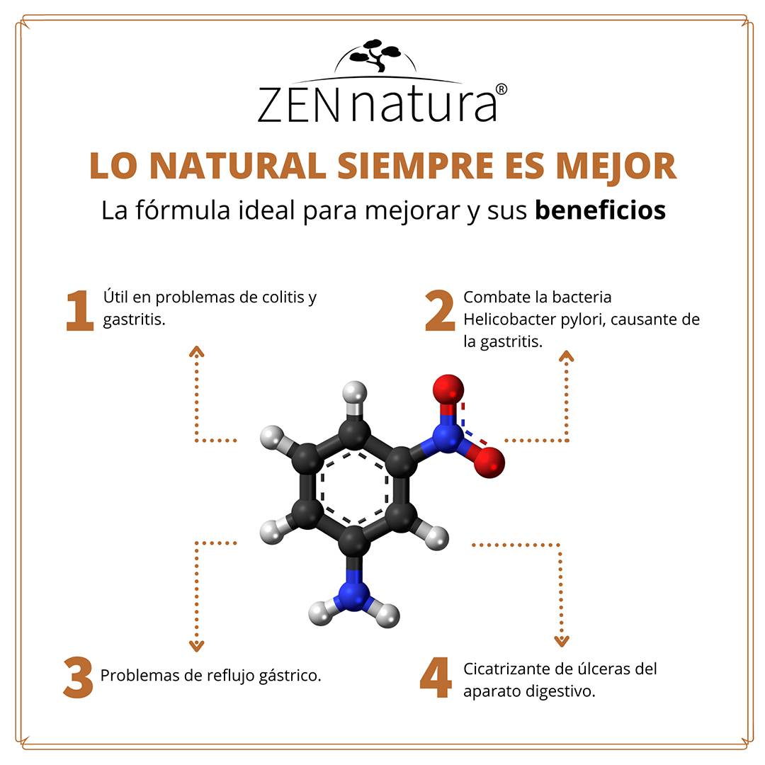 ALOE VERA NOPAL/CUACHALALATE 1LT ZN