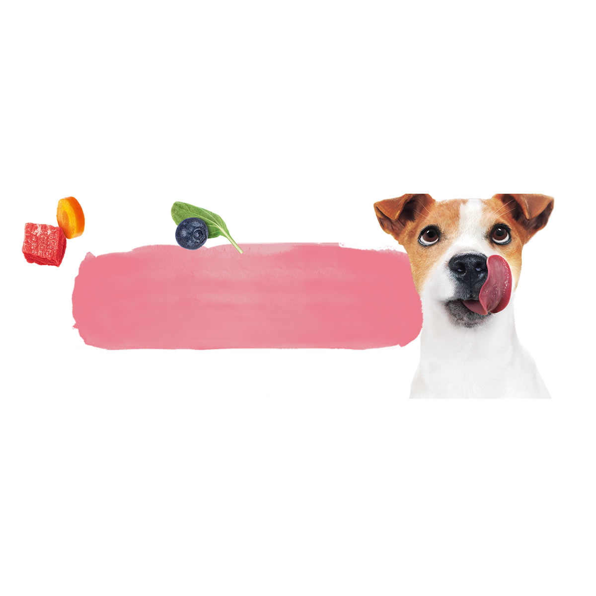 Croquetas Para Perro Carne y Pollo 22 kg Purina Beneful CST
