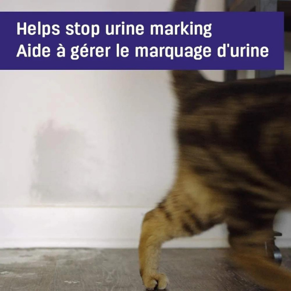 Feliway Classic Spray Anti Estrés Calmante Para Gato