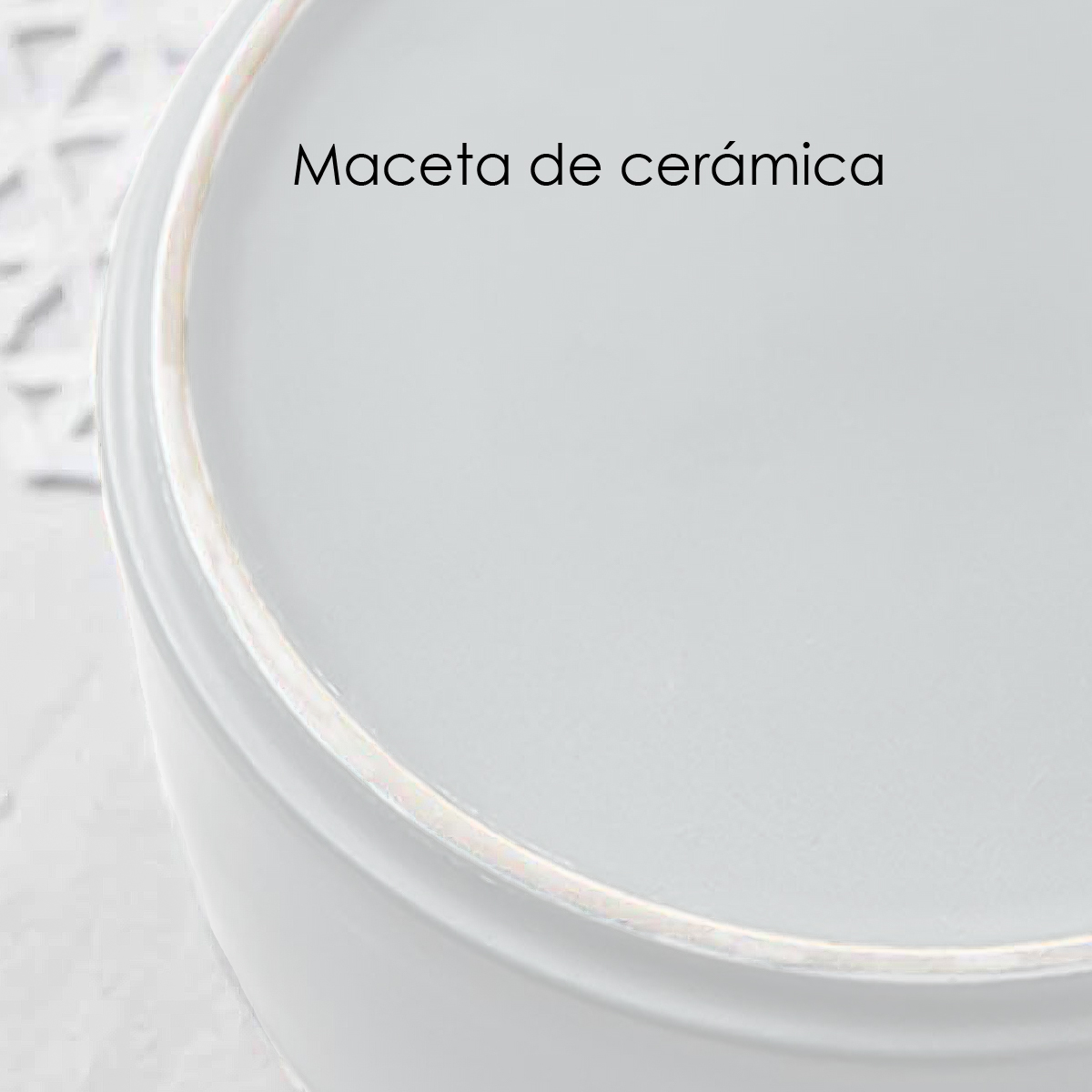 Macetero Minimalista Base de bambú con 3 Patas, Maceta de cerámica 21 cm (Blanco)