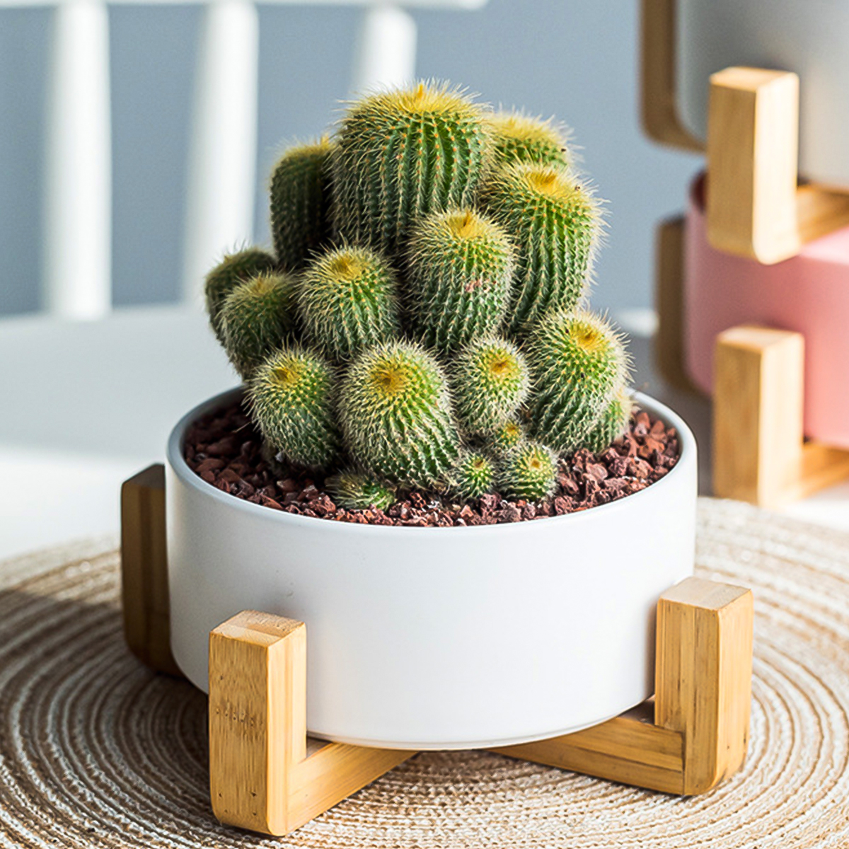 Macetero Minimalista Base de bambú con 3 Patas, Maceta de cerámica 21 cm (Blanco)