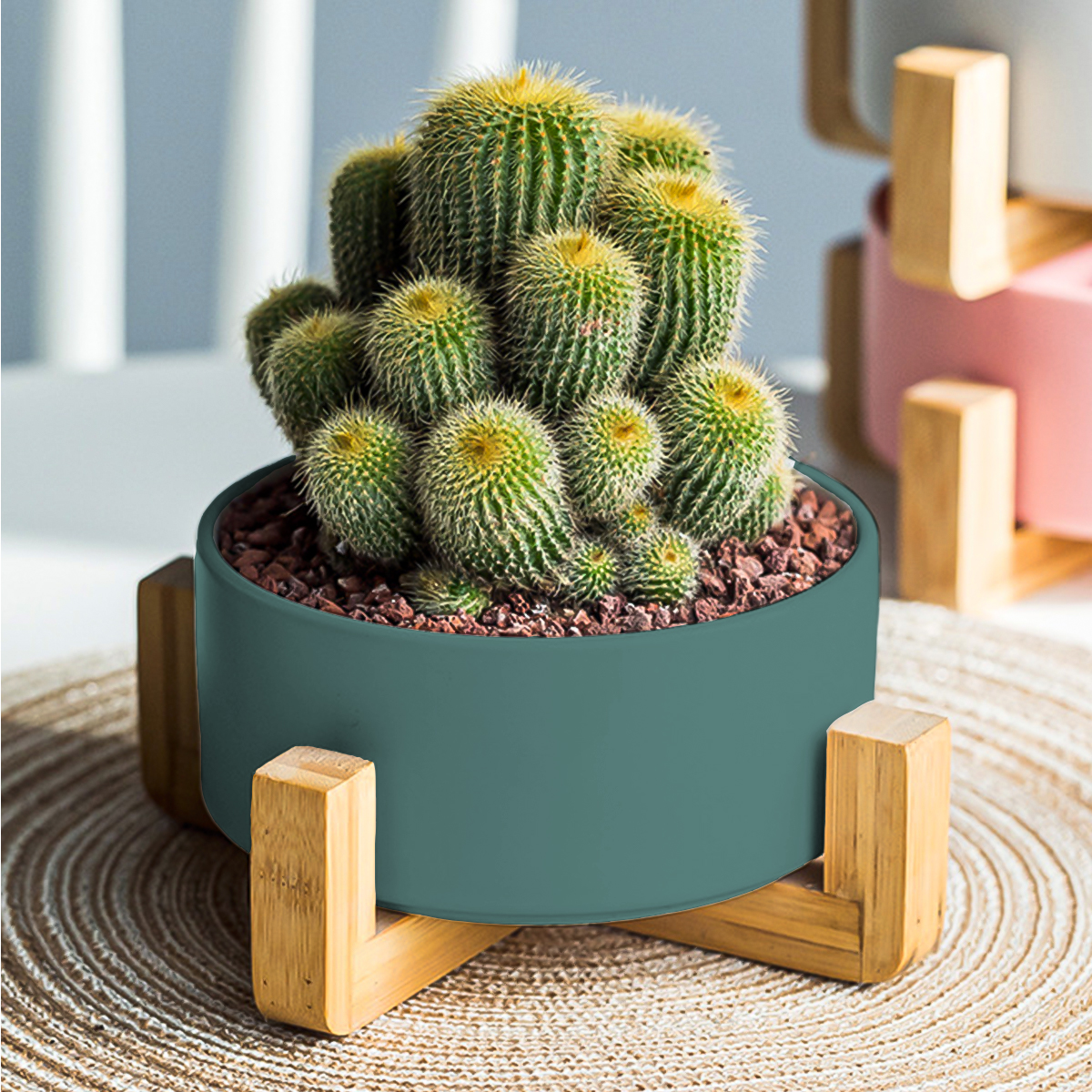 Macetero Minimalista Base de bambú con 3 Patas, Maceta de cerámica 21 cm (Verde)