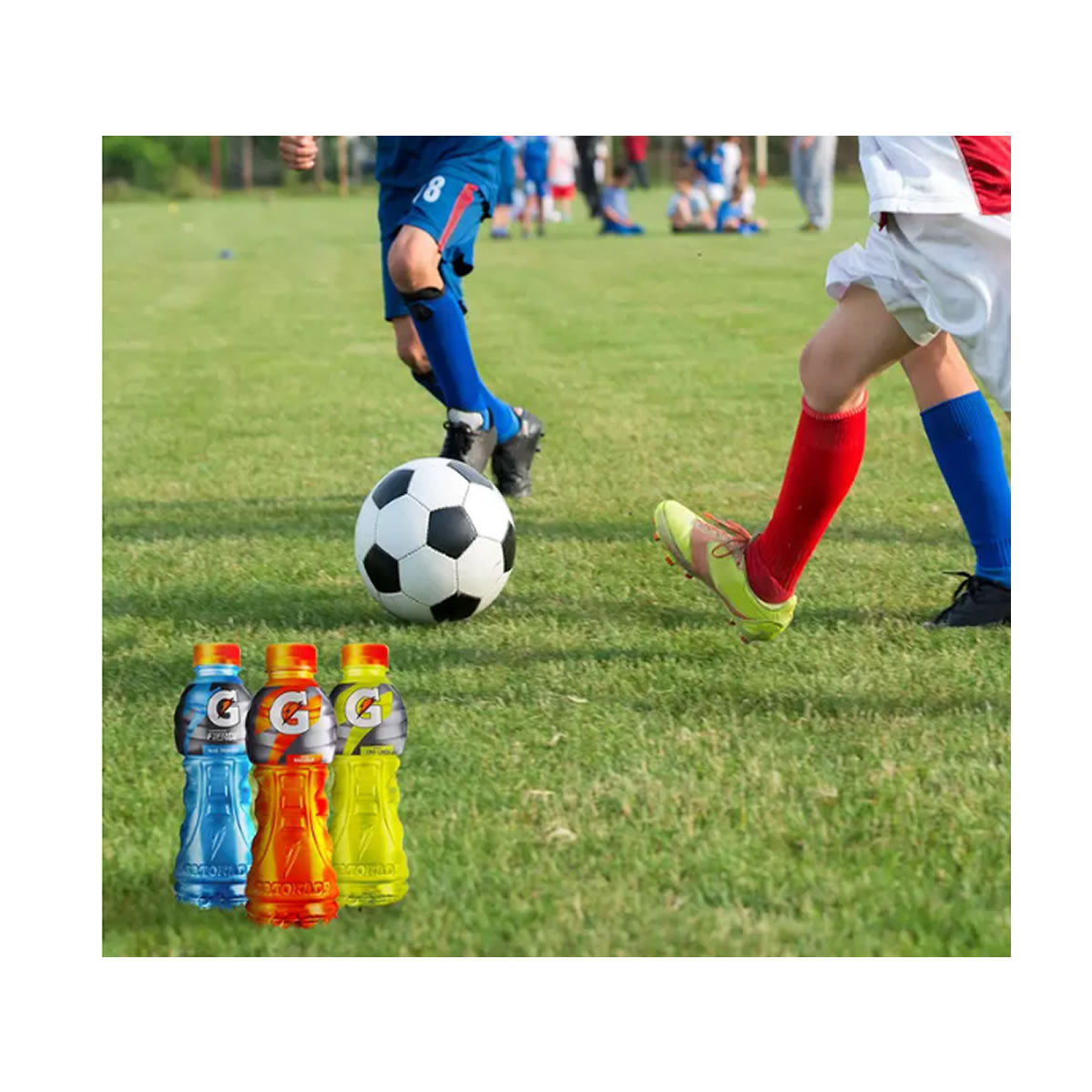 Gatorade 24 pzas de 350 ml