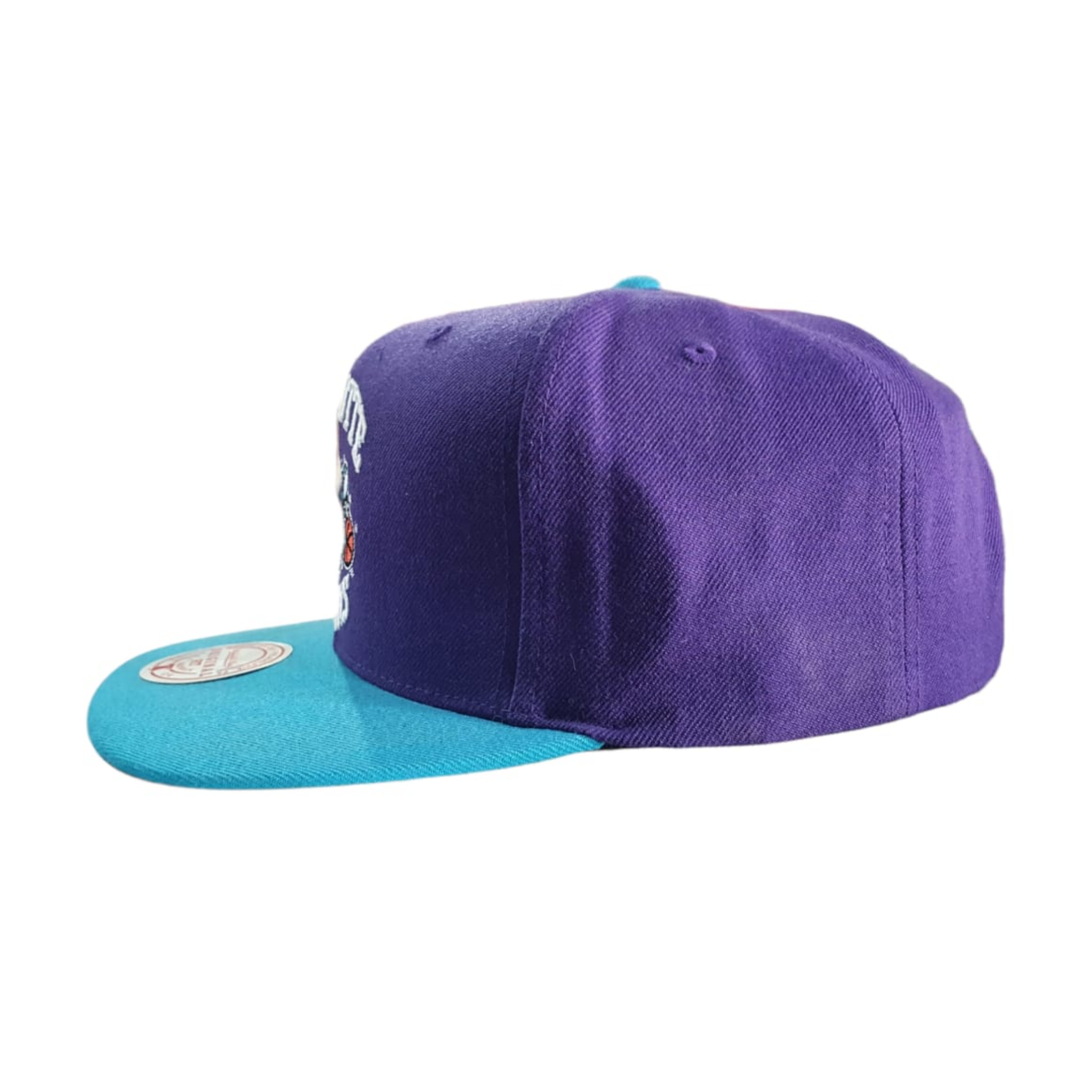 Gorra Mitchell & Ness Charlotte Hornets Morada Original 19200CHOTLPR