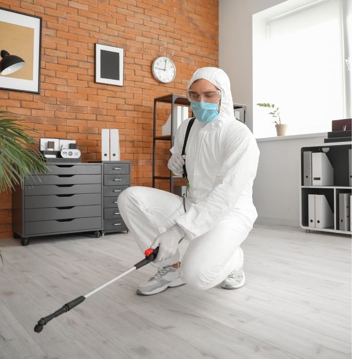 ICUB Vida Líquida 12 piezas de 1 Litro Concentrado Desinfectante y Sanitizante Orgánico sin alcohol ni químicos tóxicos uso infantil y escolar seguro