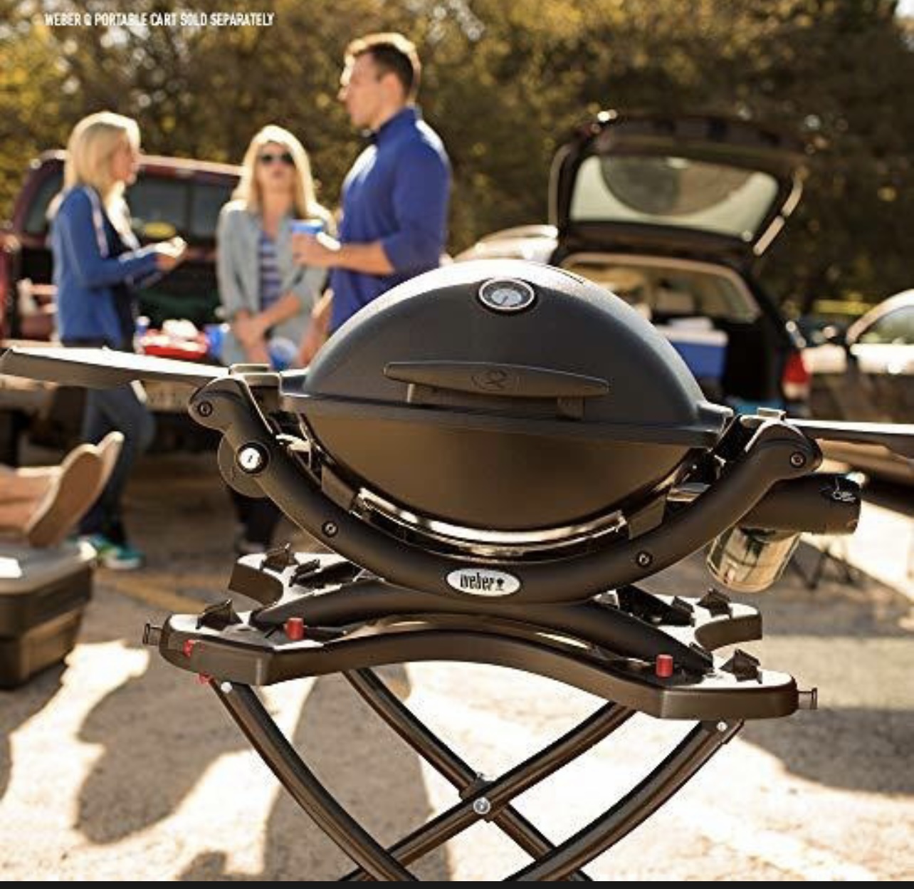 Asador de Gas Parrilla Weber Q 1200 Negro