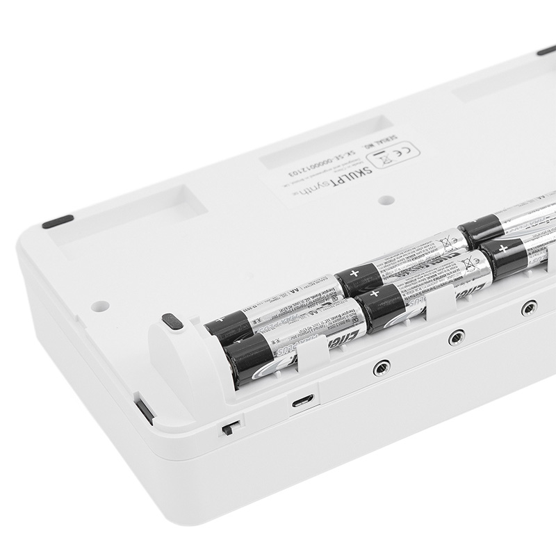 Sintetizador analógico virtual de 4 voces Modal Electronics SKULPT synth SE