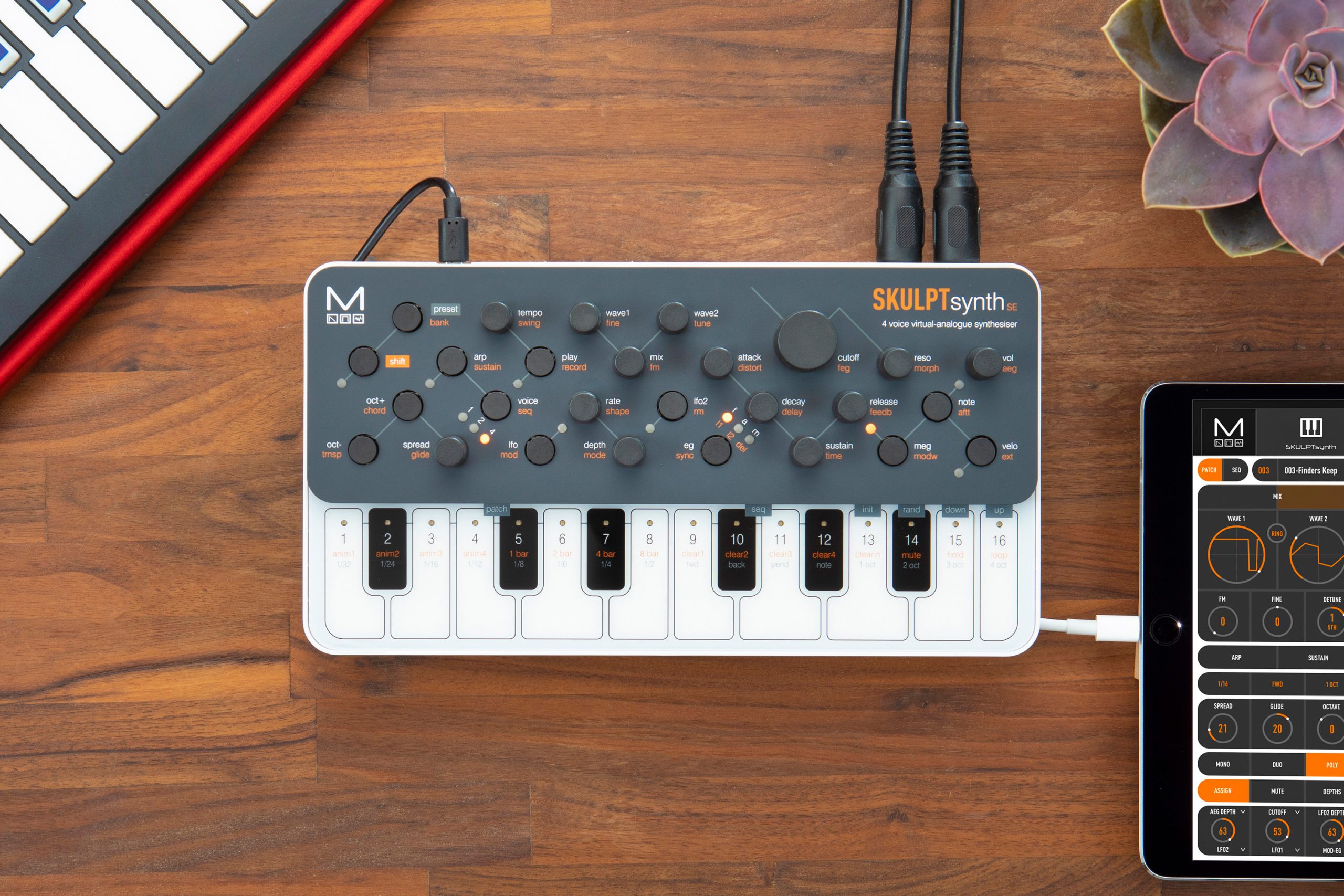 Sintetizador analógico virtual de 4 voces Modal Electronics SKULPT synth SE