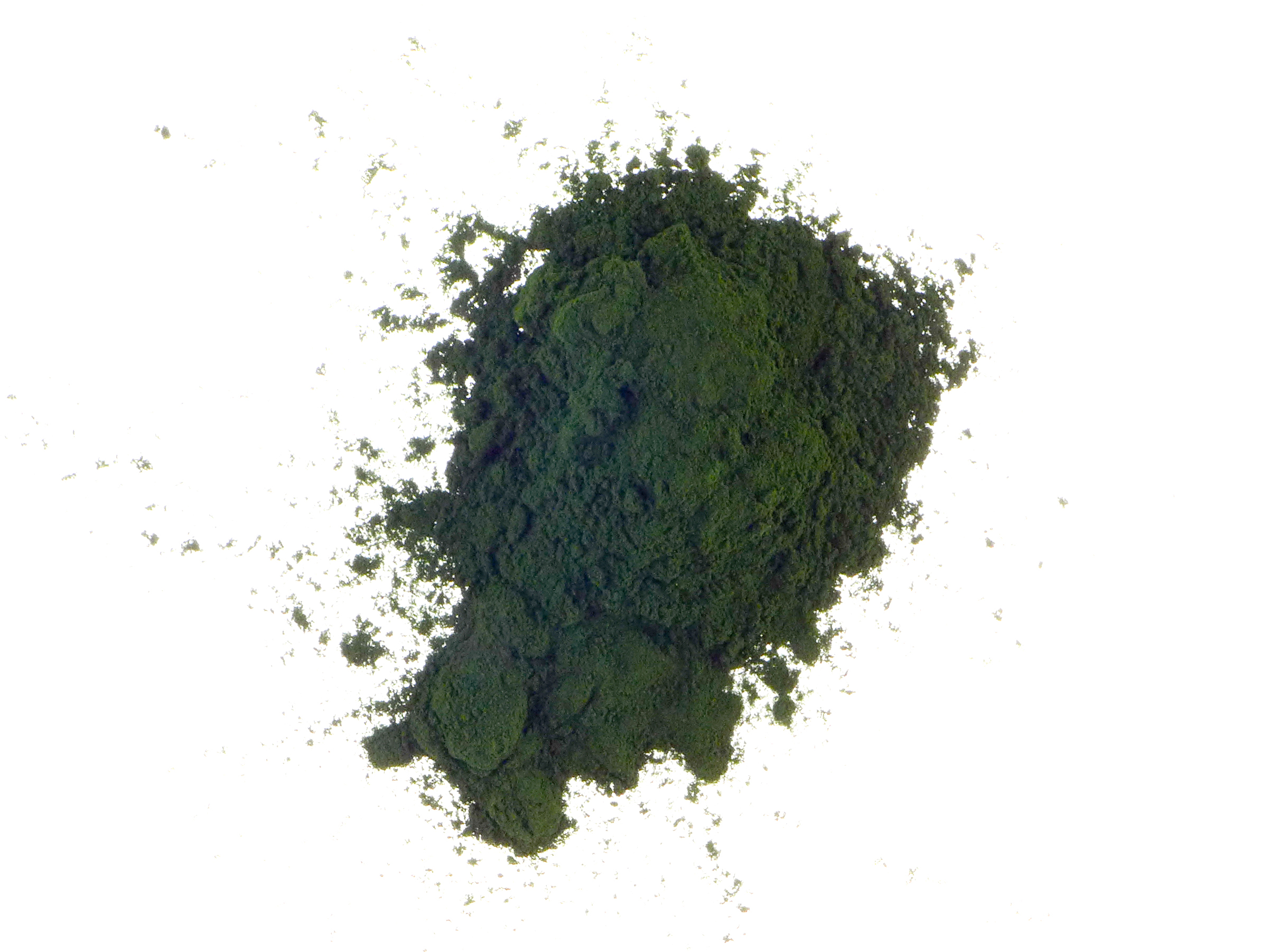 Chlorella en polvo 100g