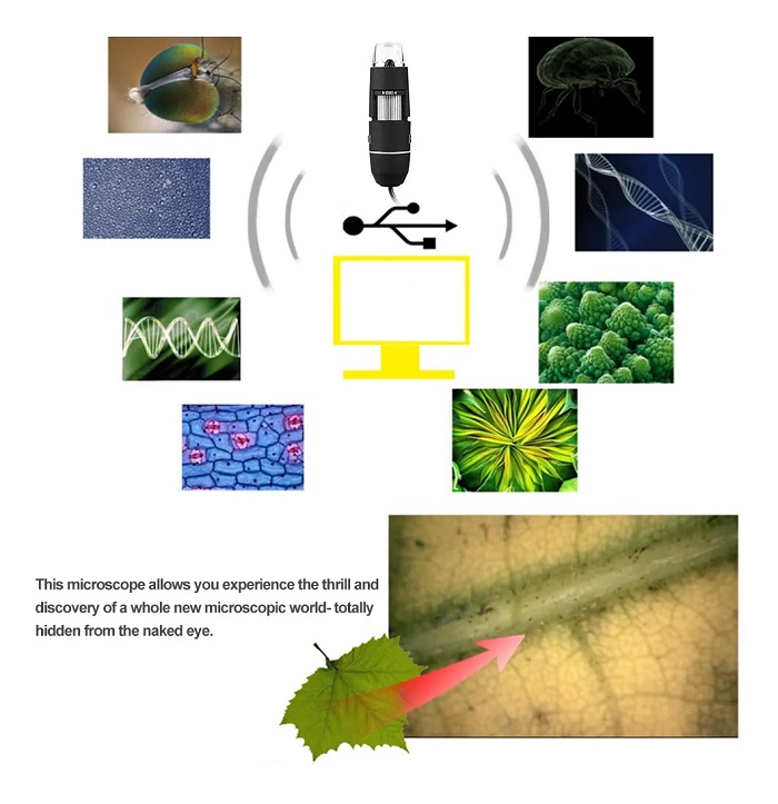 Mini Microscopio Digital Usb Led 1000x Zoom