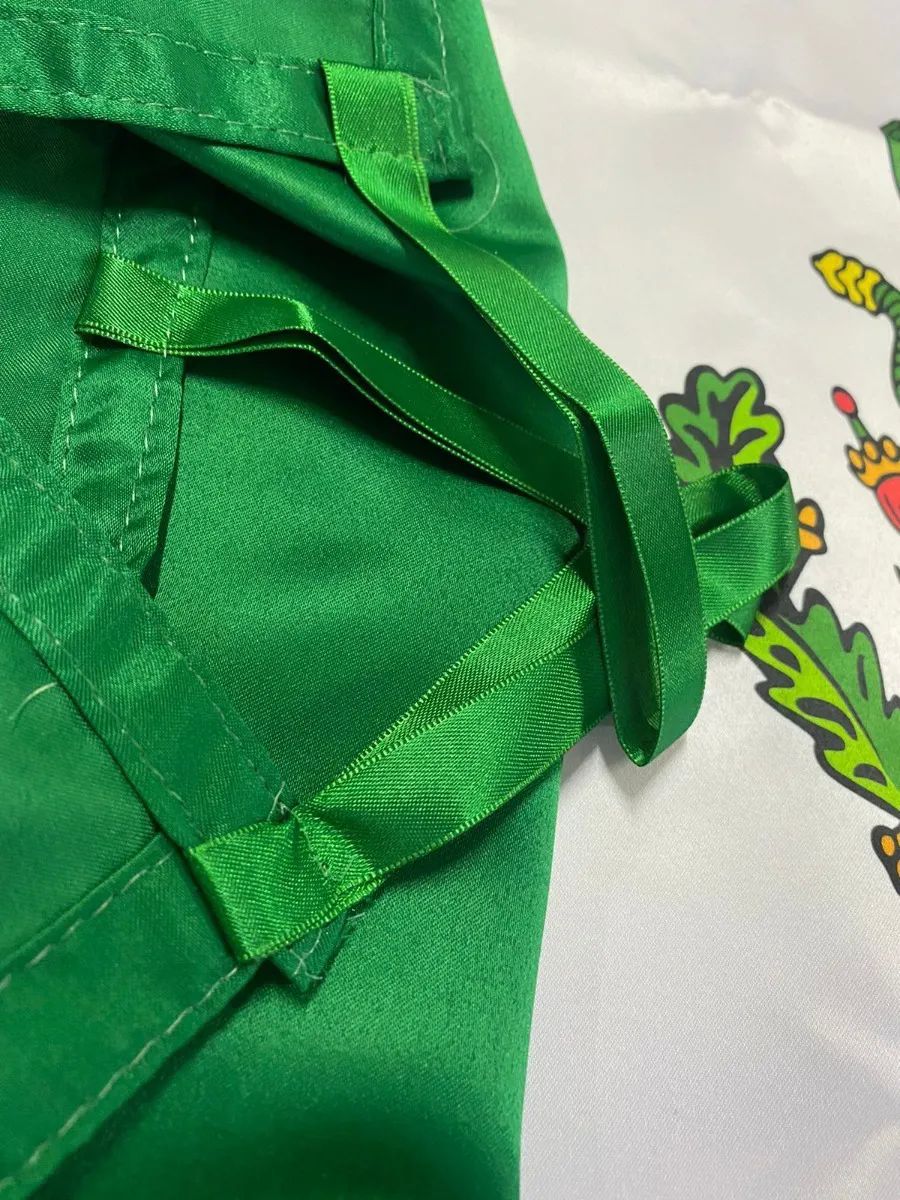 Bandera de mexico sencilla de razo 60x1.05 pintado al oleo