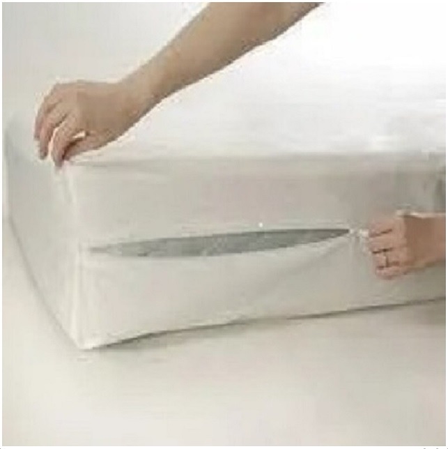 Funda Colchón King Size impermeable Anti Chinches 192x202x28