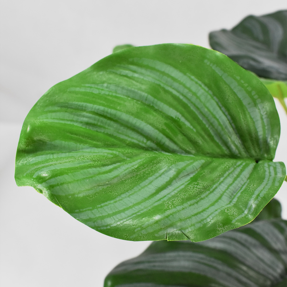 Planta De Filodendro Artificial Planta Fina Con Raíz 45 cm