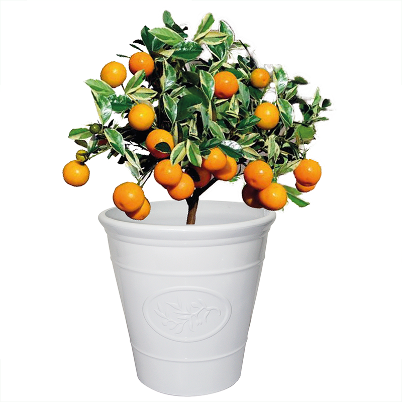 Planterist - Maceta grande - Acabado cerámico elegante vintage - Decorativa, moderna para interior o exterior - Súper resistente - Ideal para patio, jardín, terraza - Hecha de plástico PP reciclado anti UV - Medidas: 40 cm de diámetro x 41 cm de alto. Volumen interno 33.4L (Blanco Brilloso)