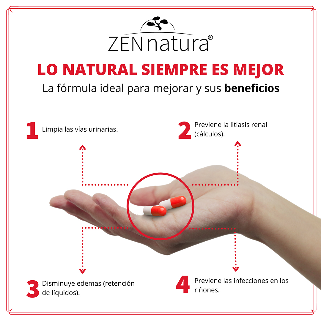 RINICHI 90 CAPSULAS ZEN NATURA PALO AZUL, COLA DE CABALLO Y CABELLOS DE ELOTE