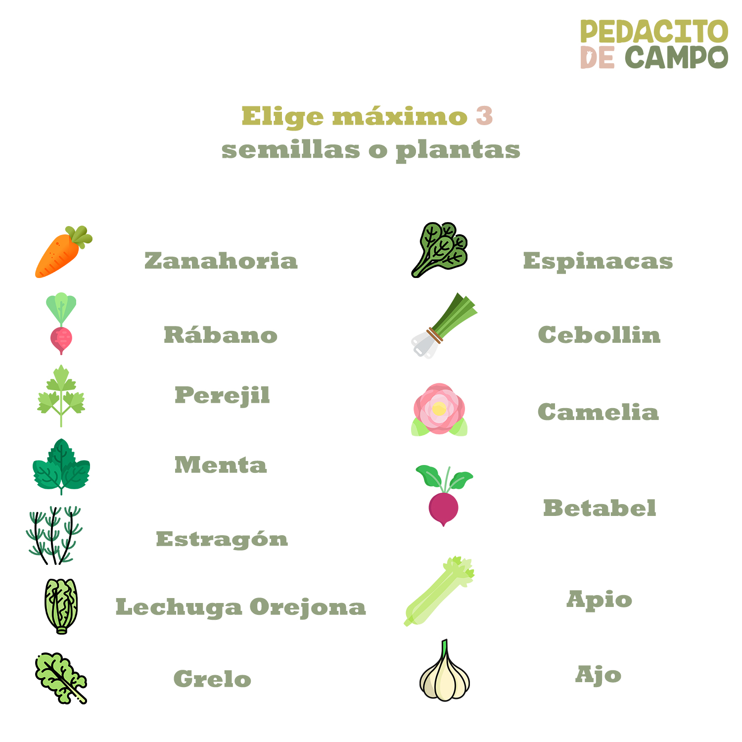 Huerto Bajo Madera 30x90 Pedacito De Campo + Semillas/planta Café