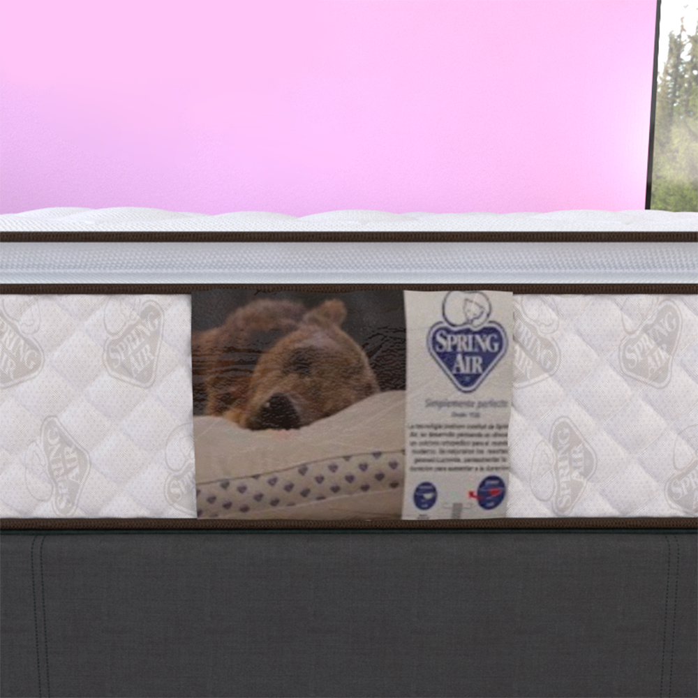 Colchón y Box Individual Allegro Spring Air Ortopédico con Colchoneta PILLOW TOP