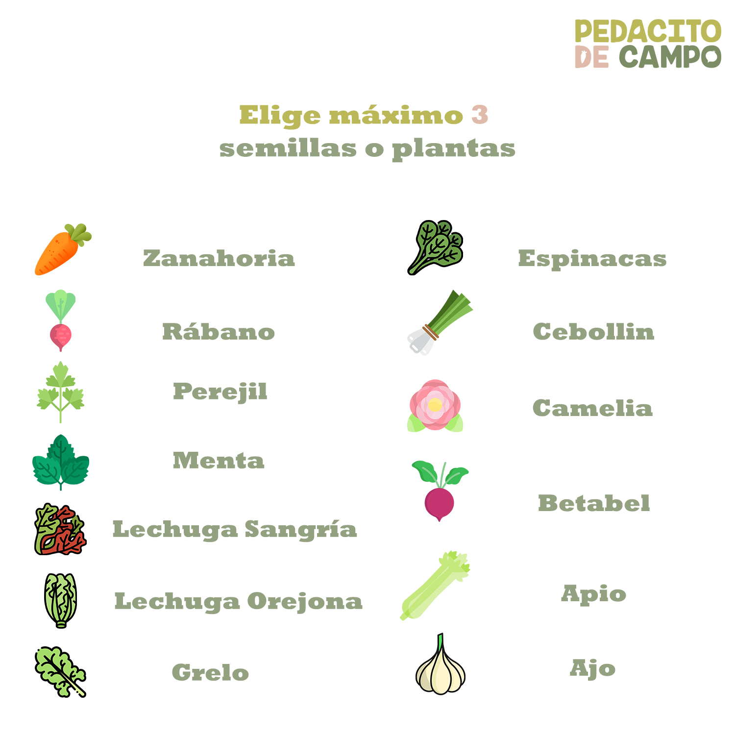 Huerto Alto Madera 30x60 Pedacito De Campo Semillas/plantas Café