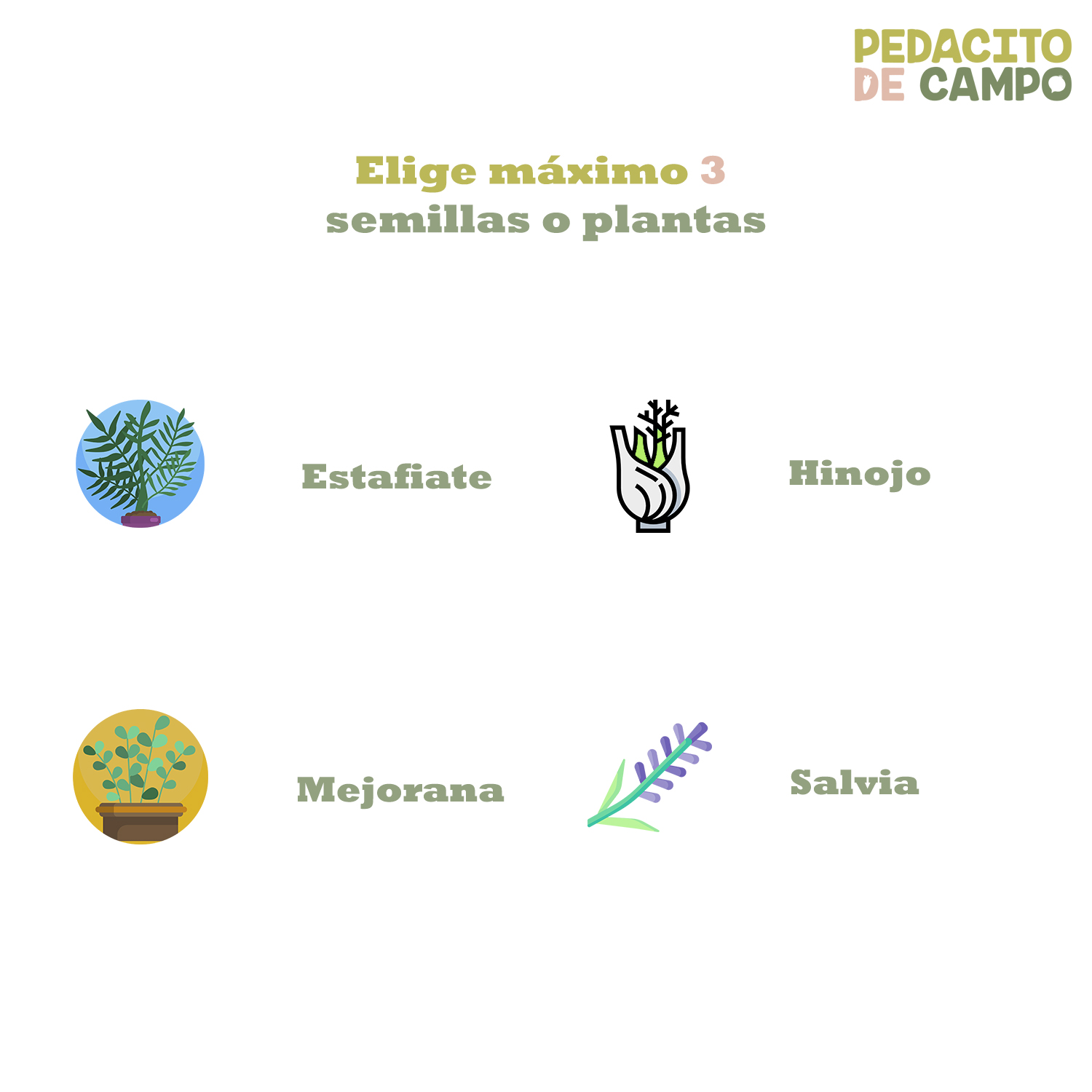 Huerto Alto Madera 30x60 Pedacito De Campo Semillas/plantas Café