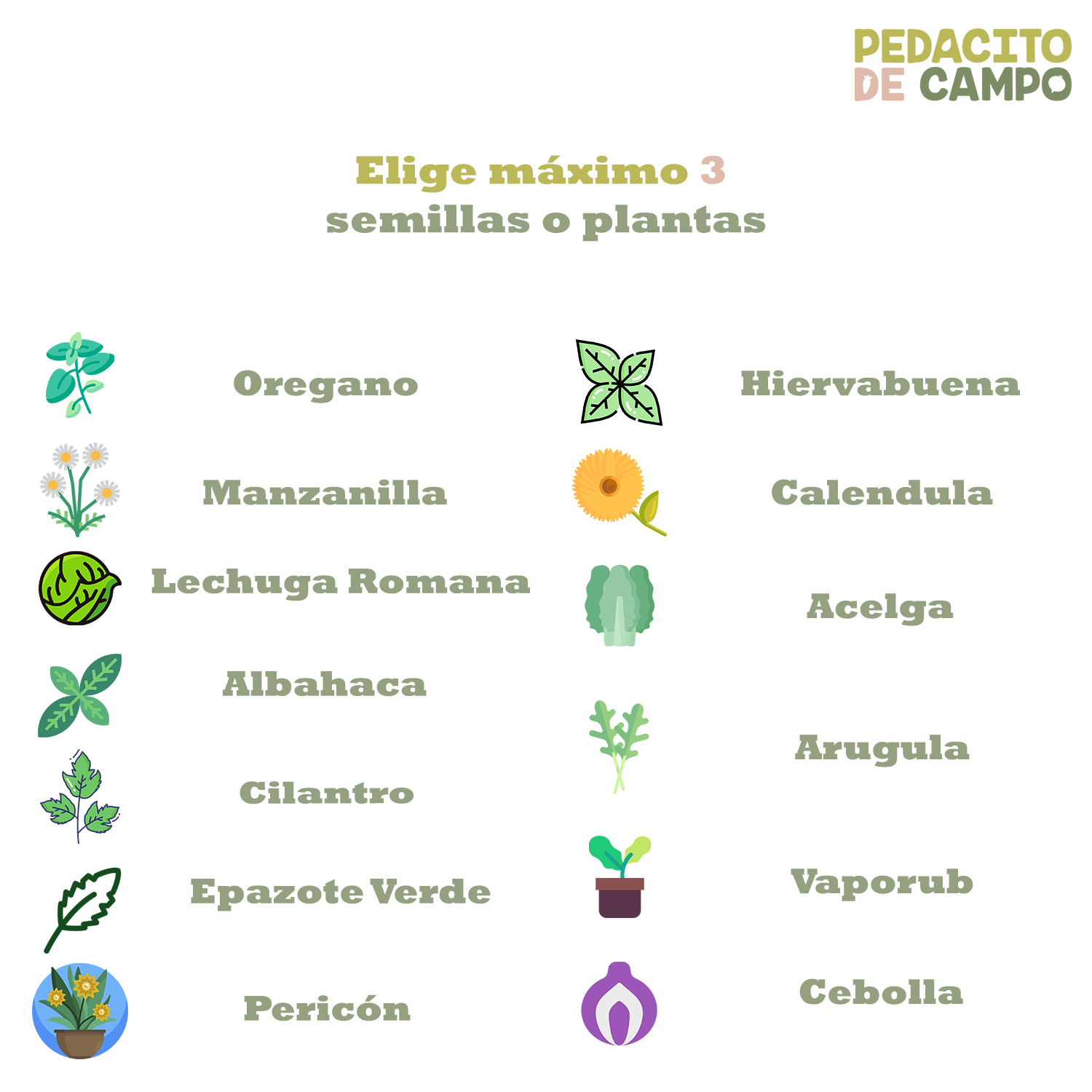 Huerto Bajo Madera 30x120 Pedacito De Campo Semillas/plantas Café